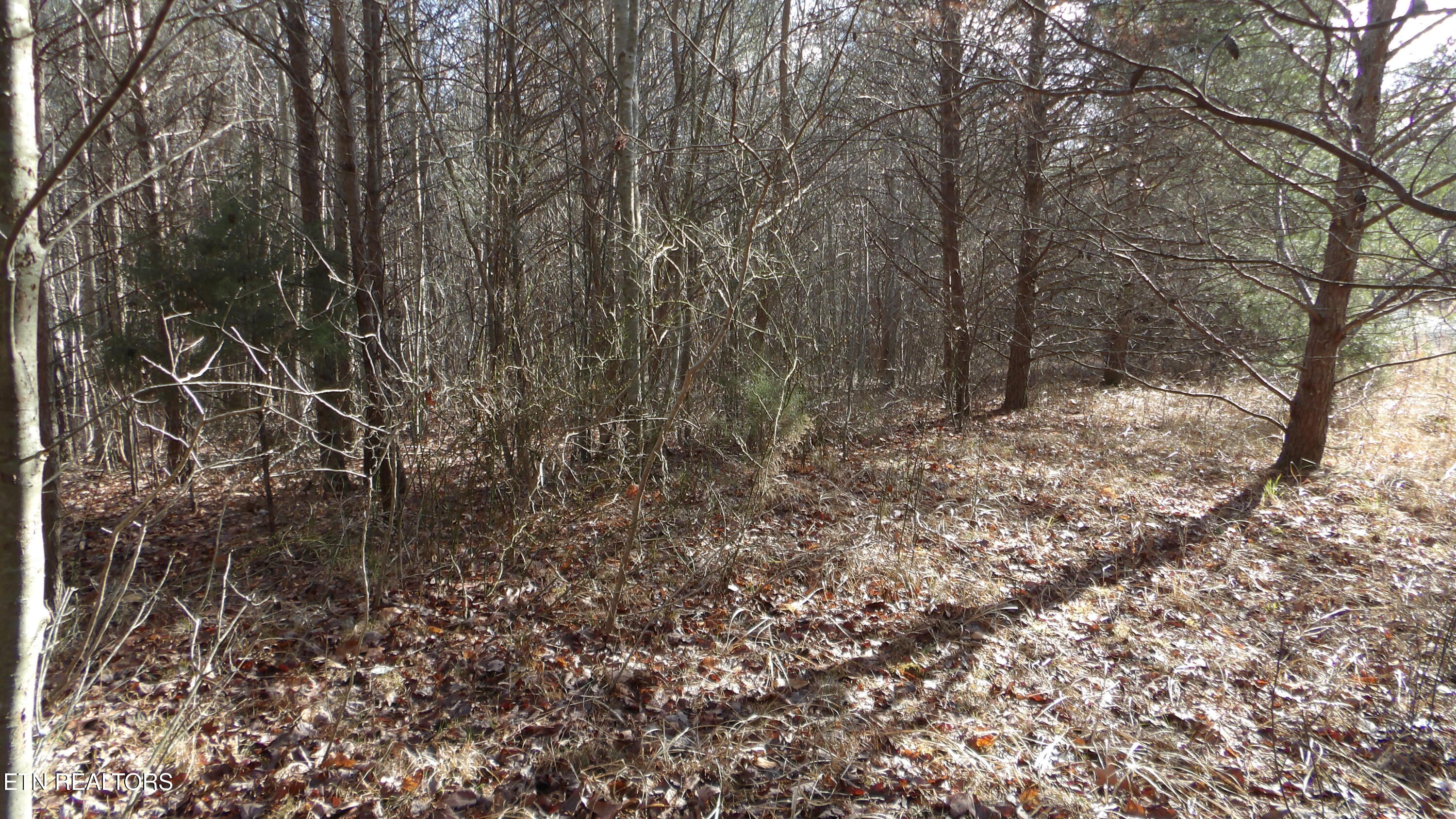 Lot 185 Meadow Lane Spencer TN 38585
