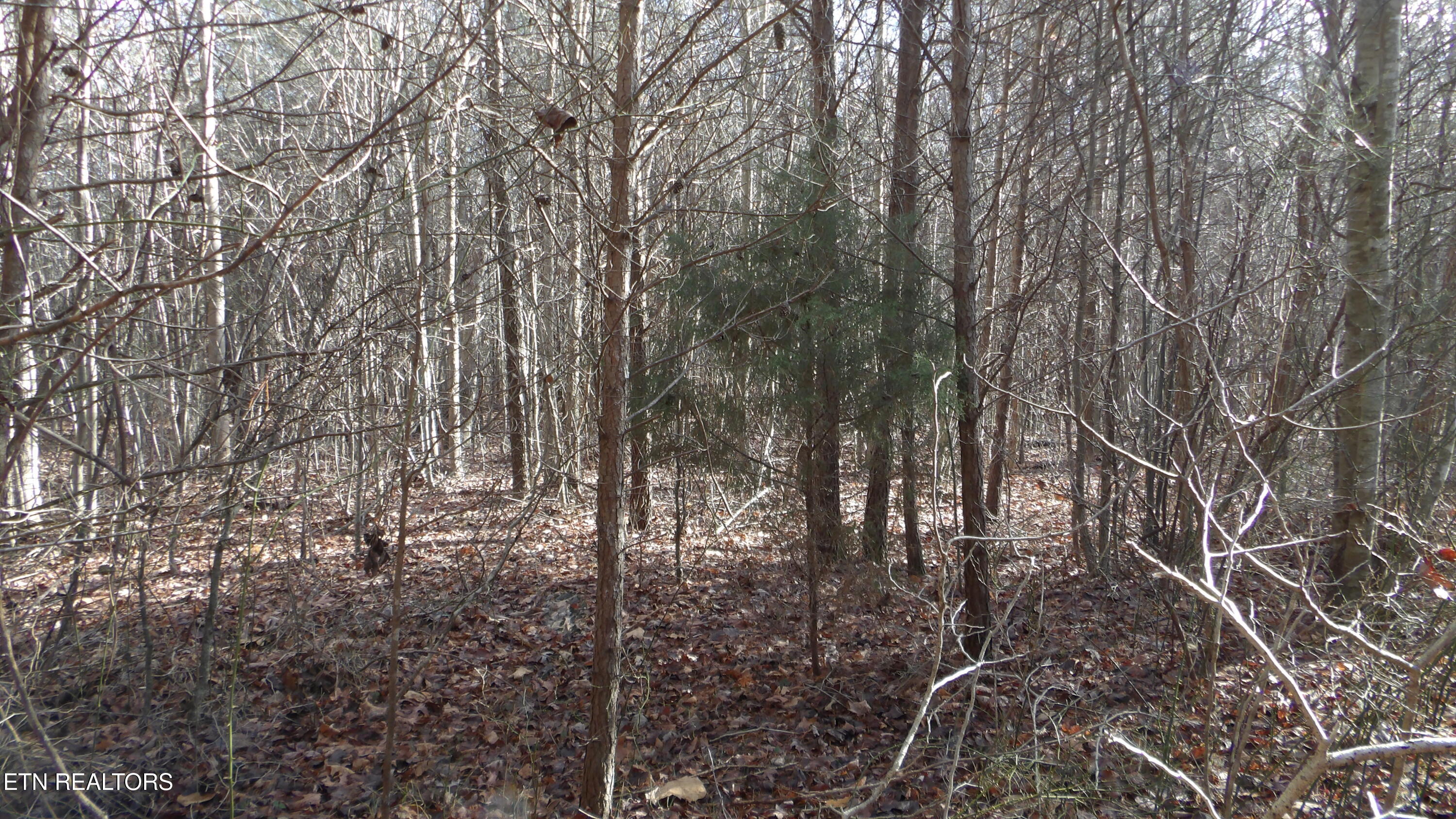 Lot 185 Meadow Lane Spencer TN 38585