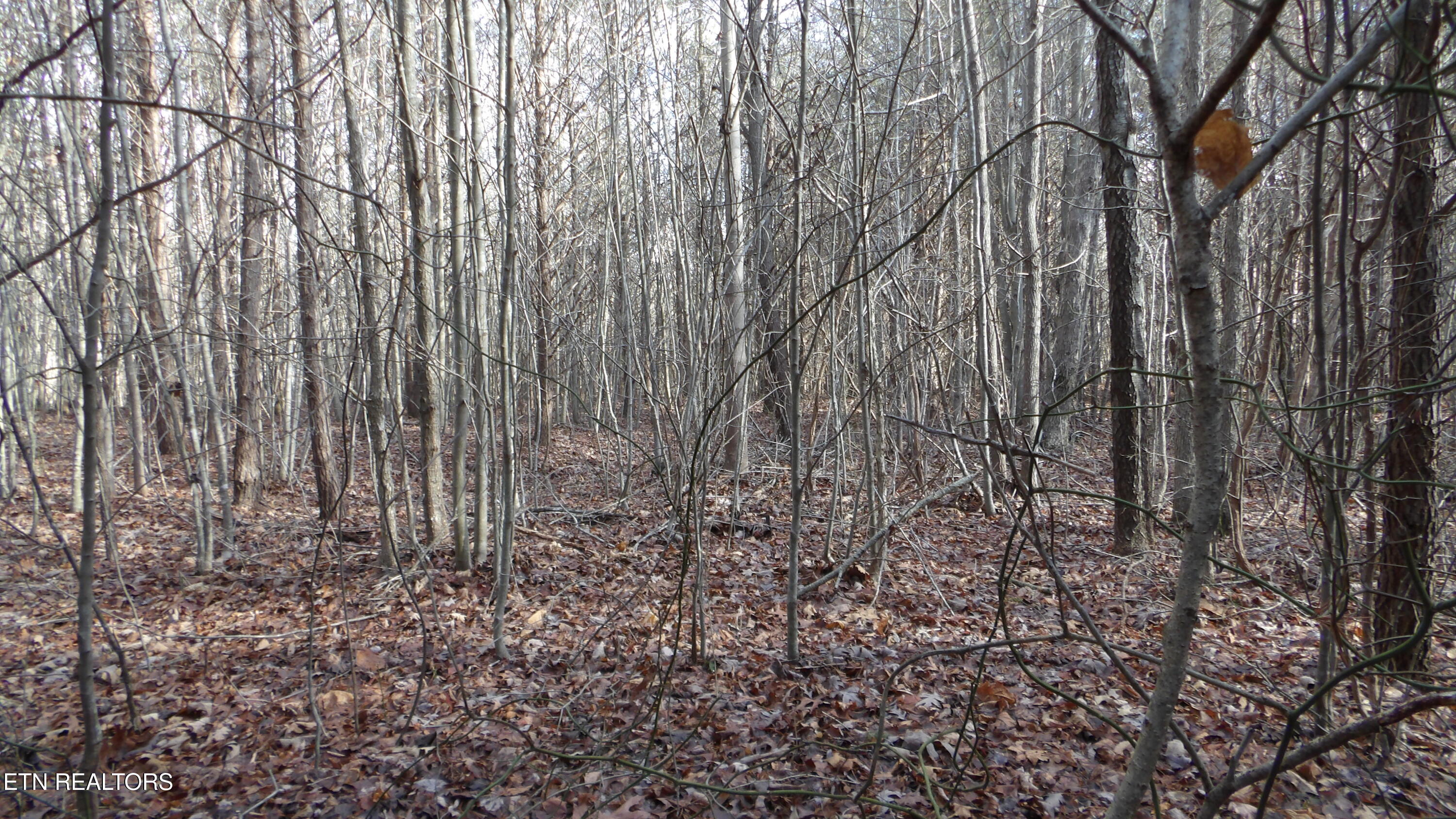 Lot 185 Meadow Lane Spencer TN 38585