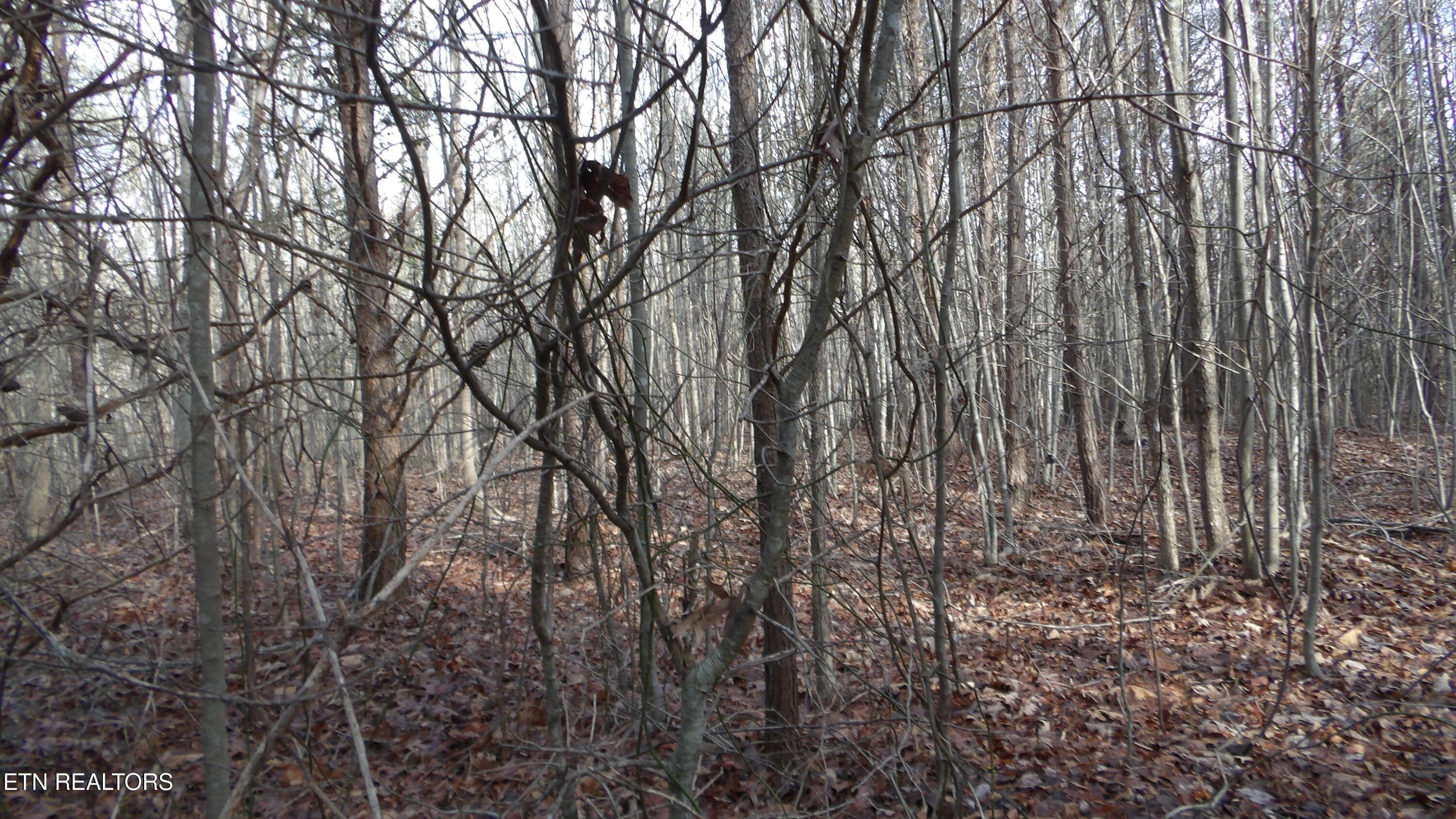 Lot 185 Meadow Lane Spencer TN 38585