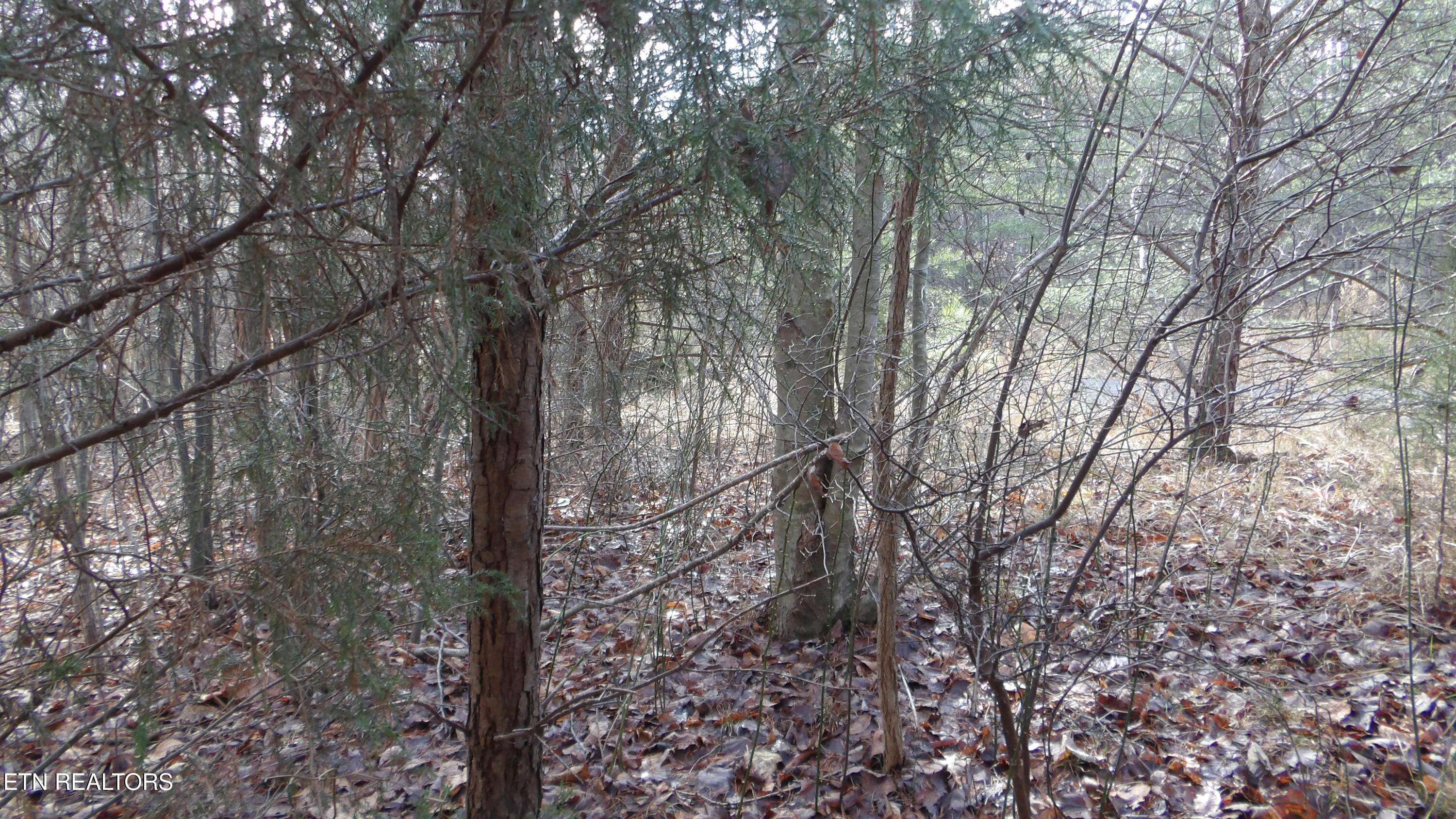 Lot 185 Meadow Lane Spencer TN 38585