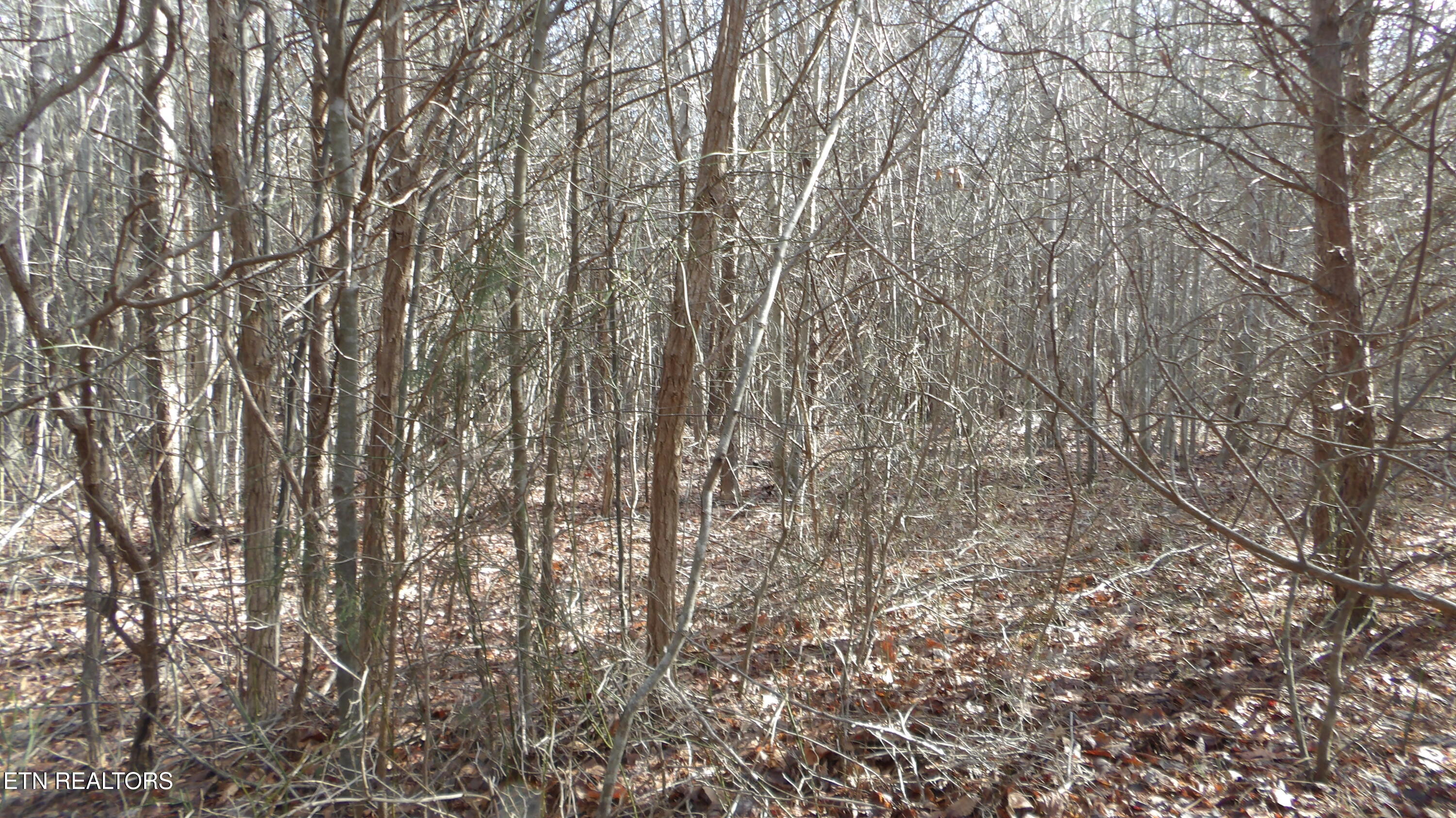 Lot 185 Meadow Lane Spencer TN 38585