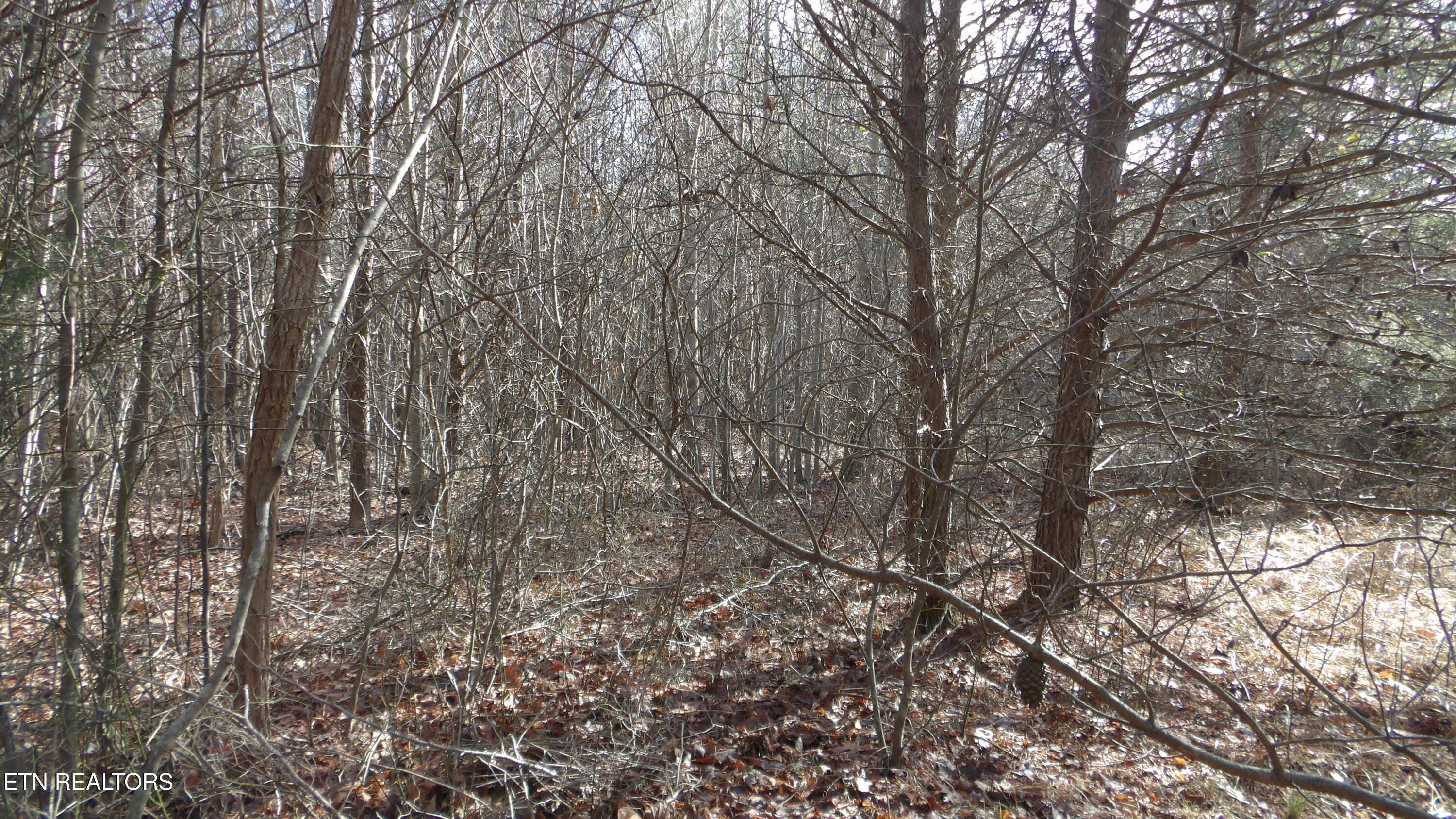 Lot 185 Meadow Lane Spencer TN 38585