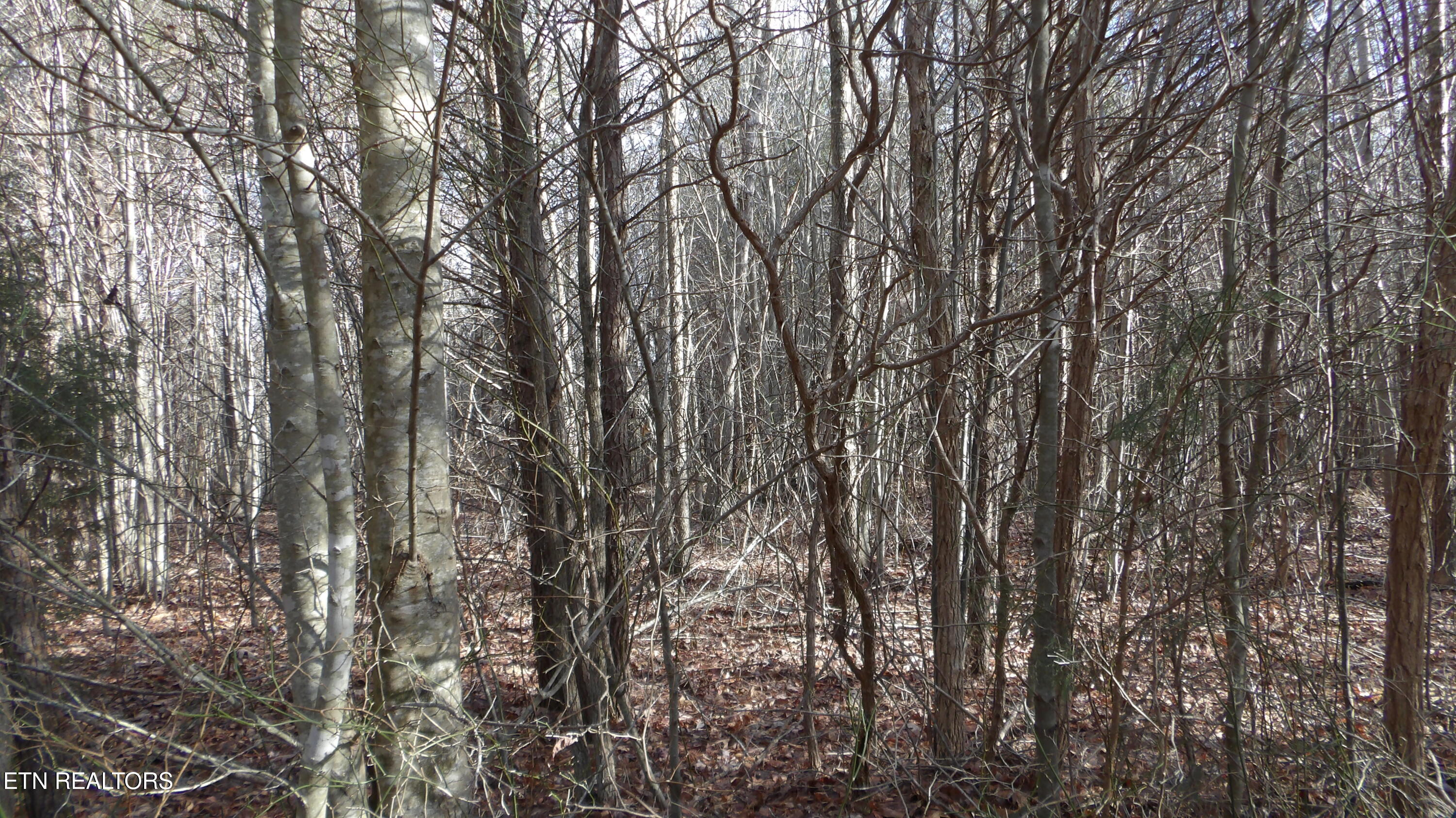 Lot 185 Meadow Lane Spencer TN 38585
