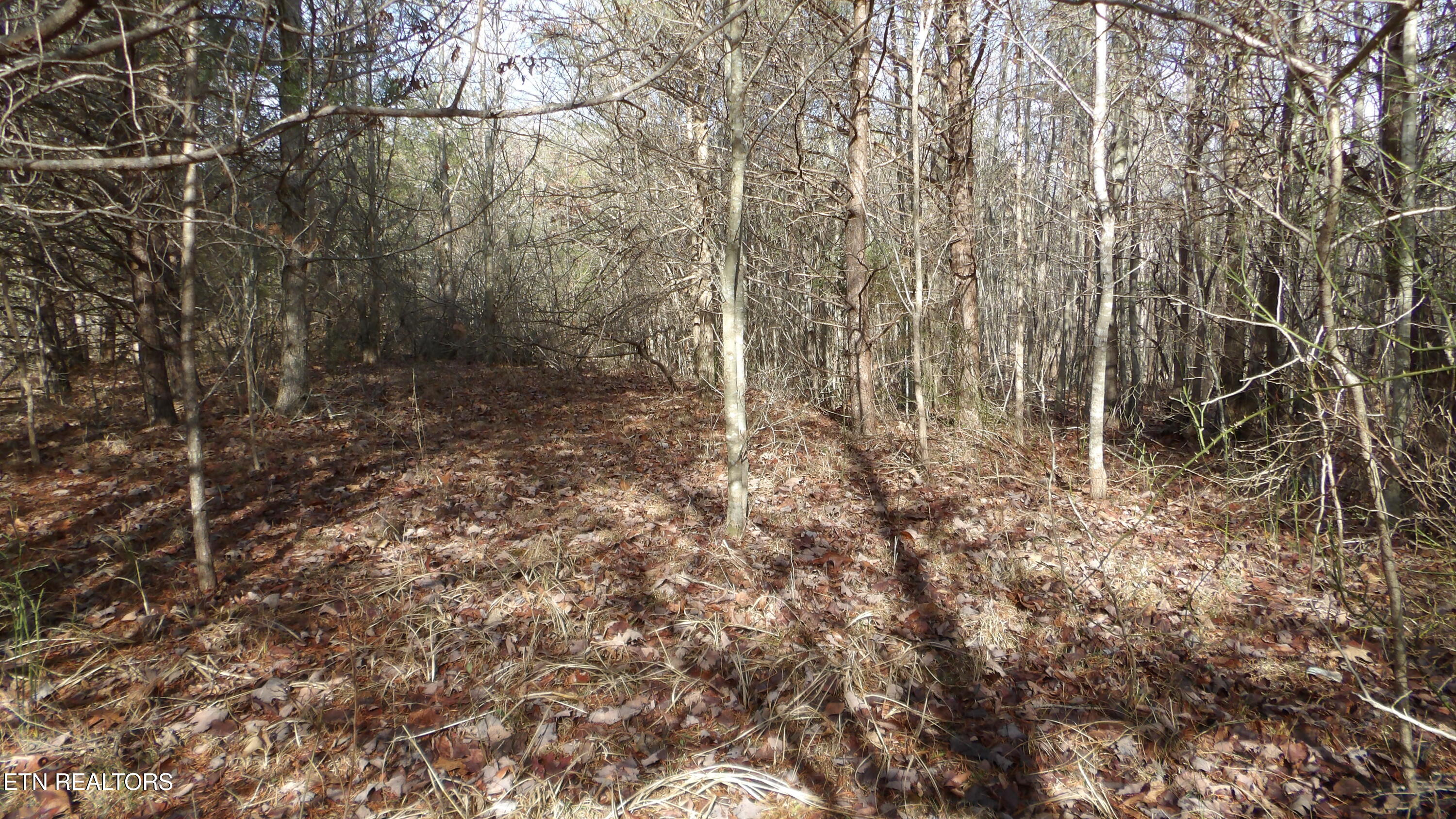 Lot 185 Meadow Lane Spencer TN 38585