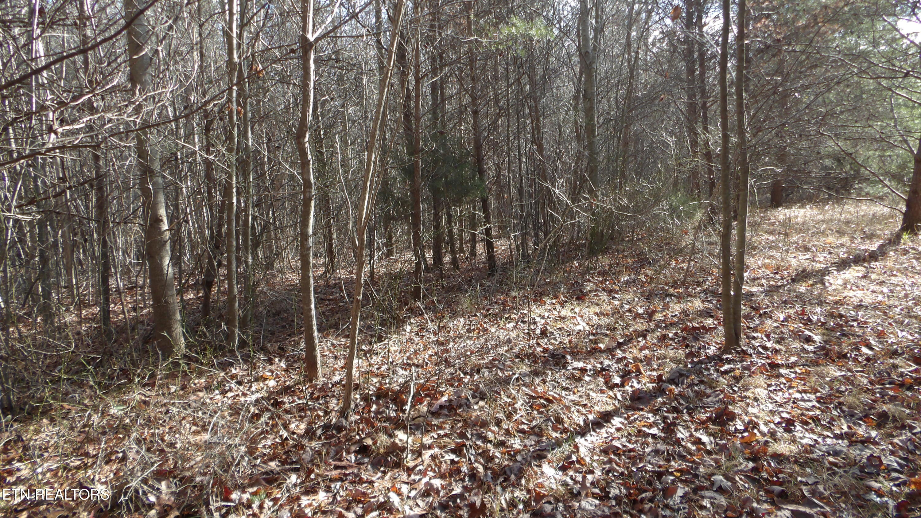 Lot 185 Meadow Lane Spencer TN 38585