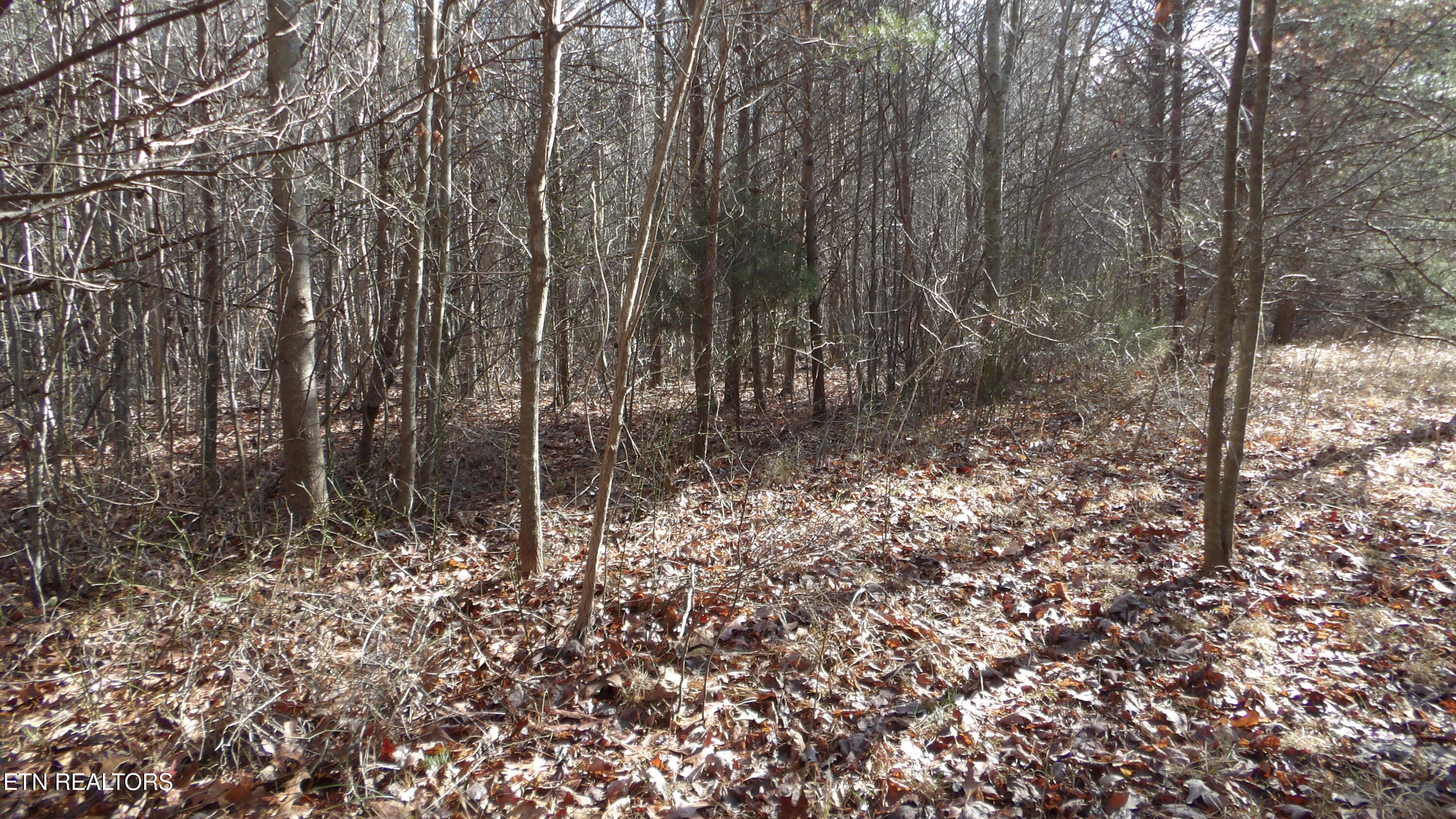 Lot 185 Meadow Lane Spencer TN 38585