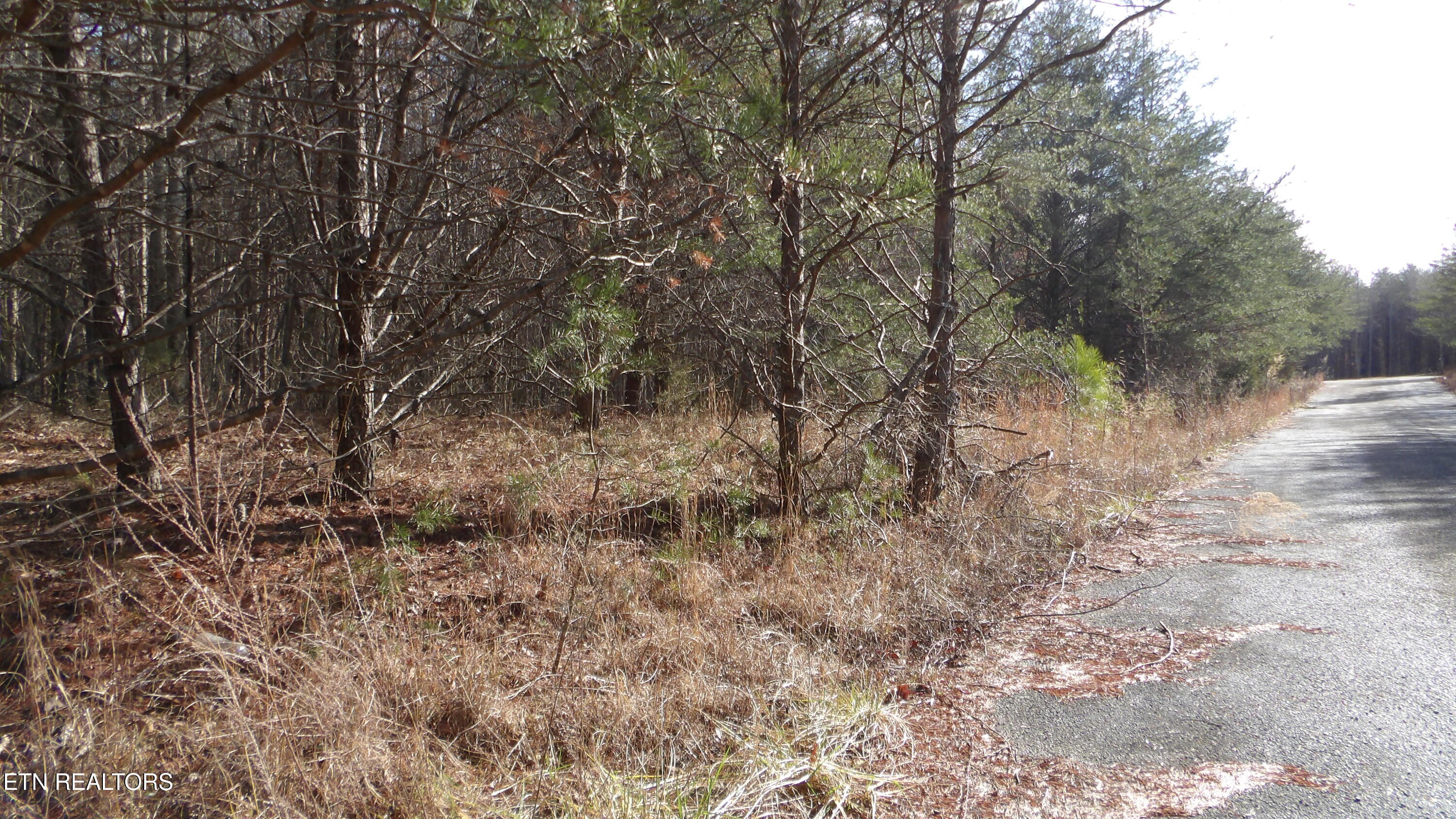 Lot 185 Meadow Lane Spencer TN 38585
