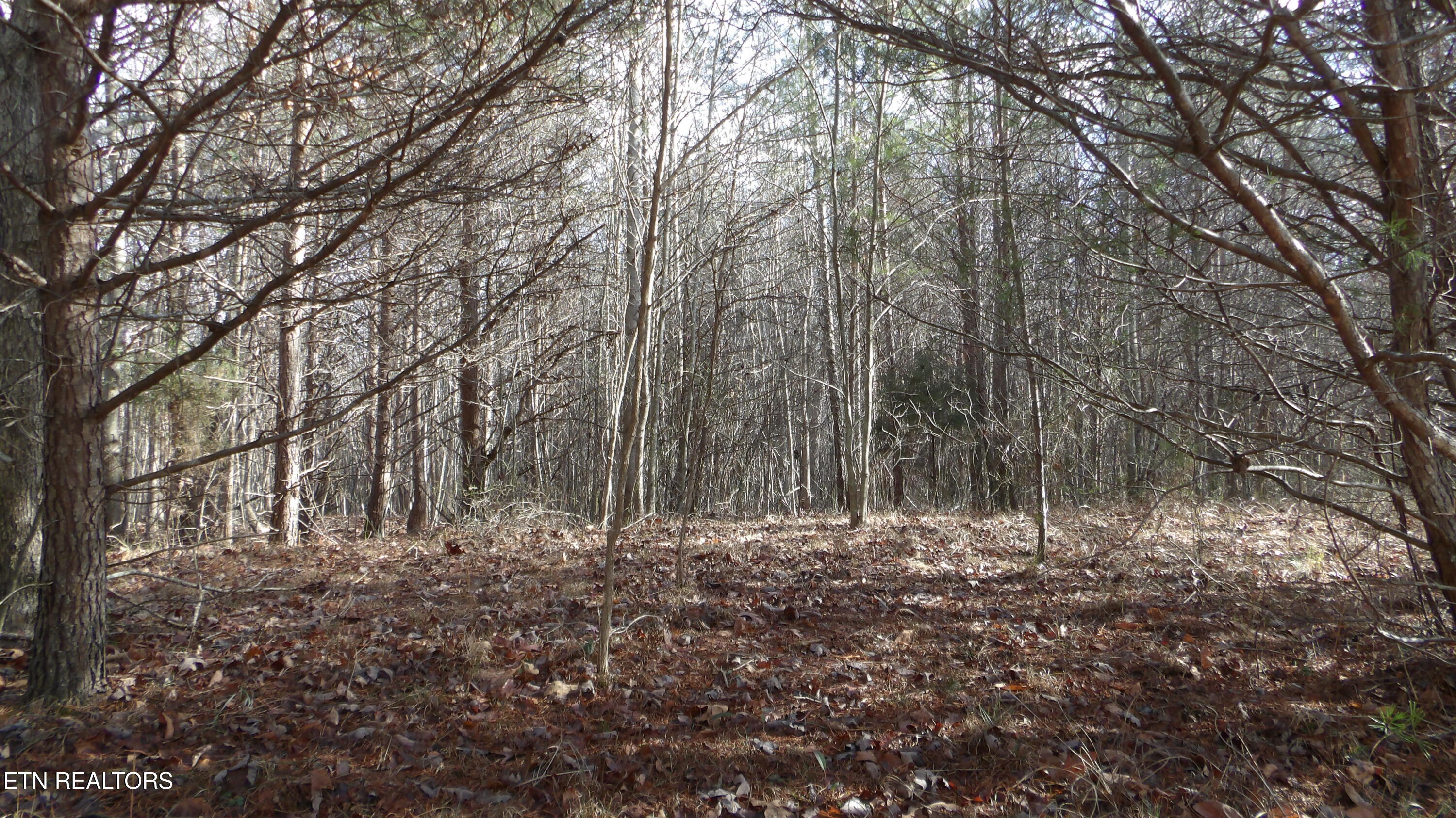Lot 185 Meadow Lane Spencer TN 38585
