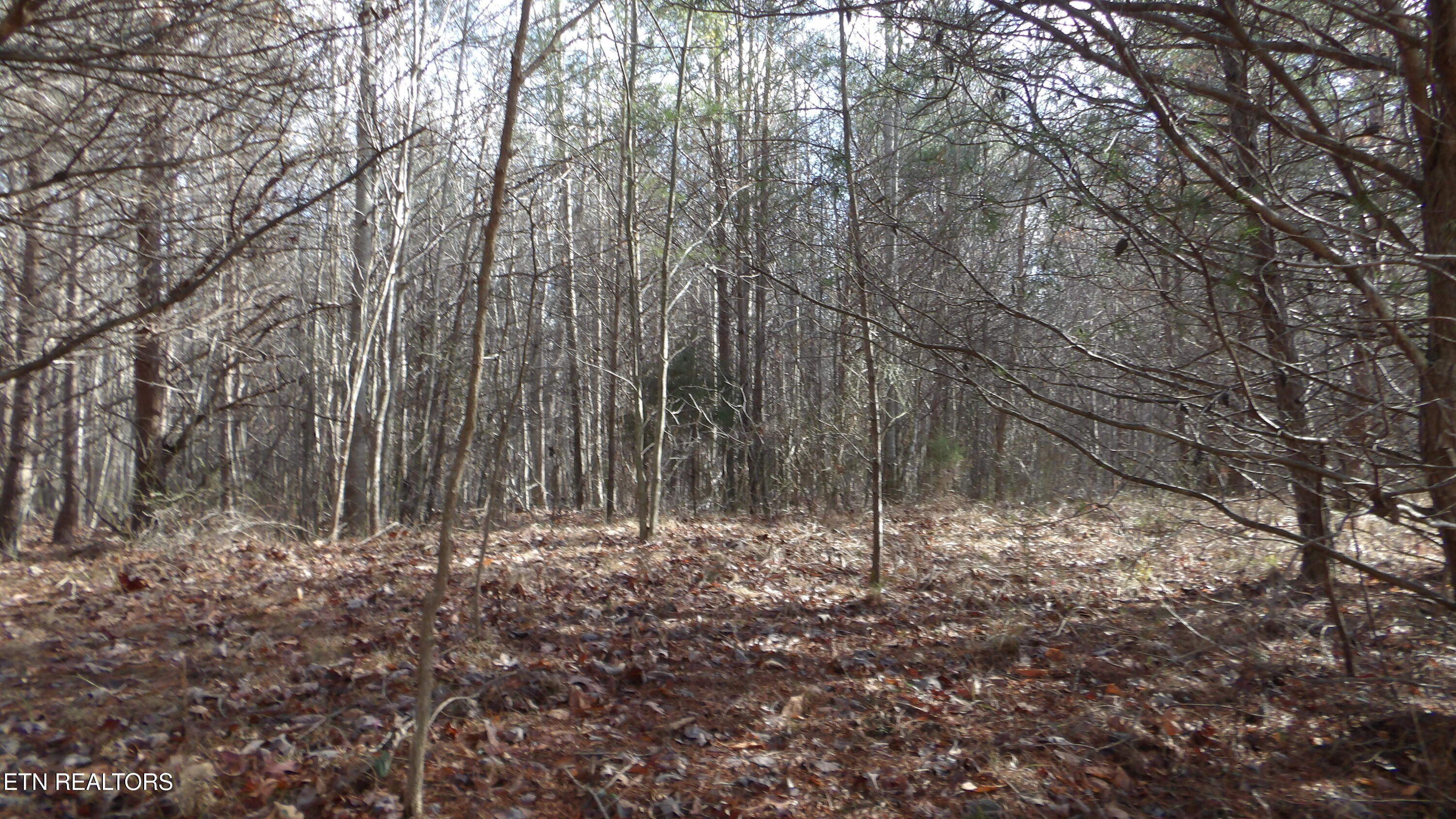Lot 185 Meadow Lane Spencer TN 38585