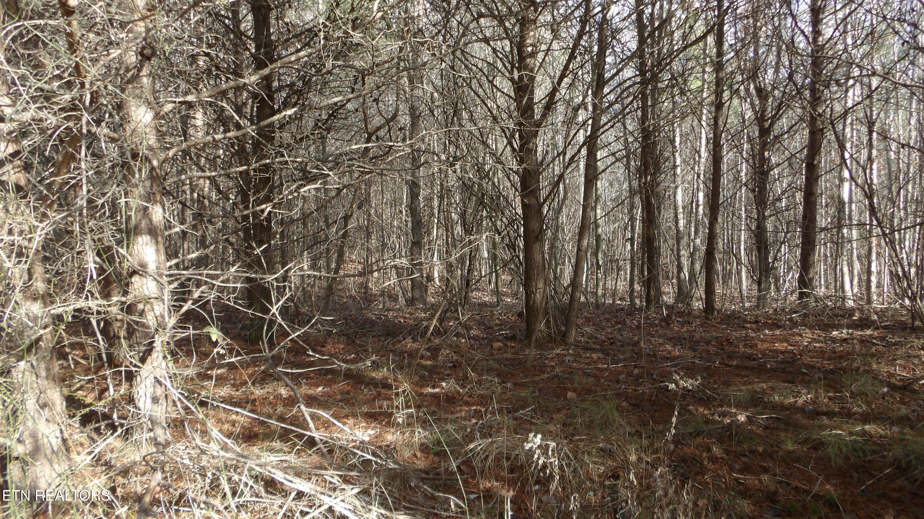 Lot 185 Meadow Lane Spencer TN 38585
