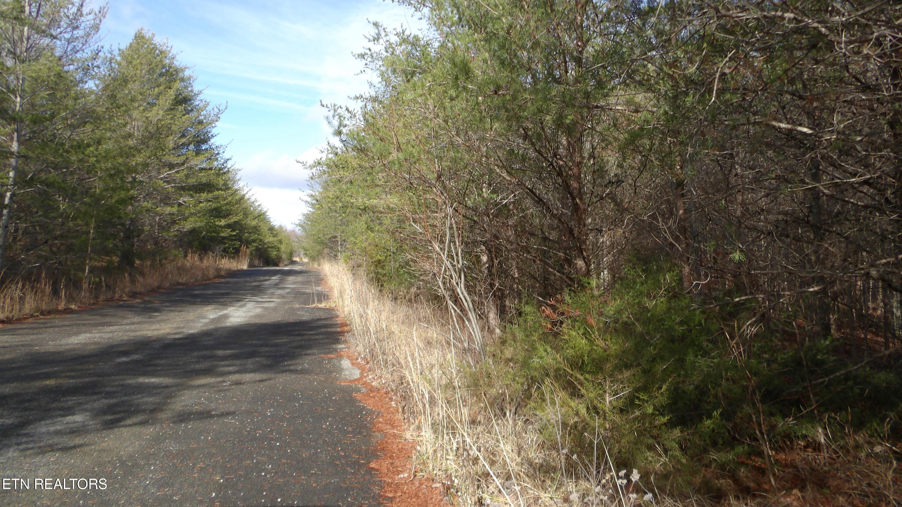 Lot 185 Meadow Lane Spencer TN 38585