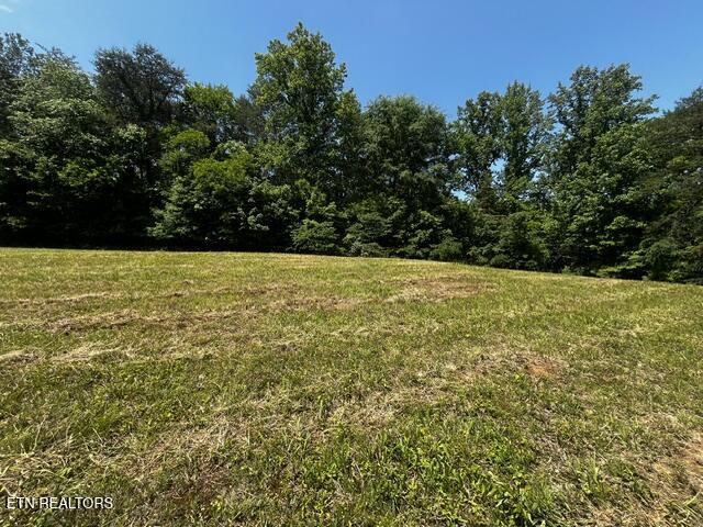 759 Emerald Avenue Kodak TN 37764