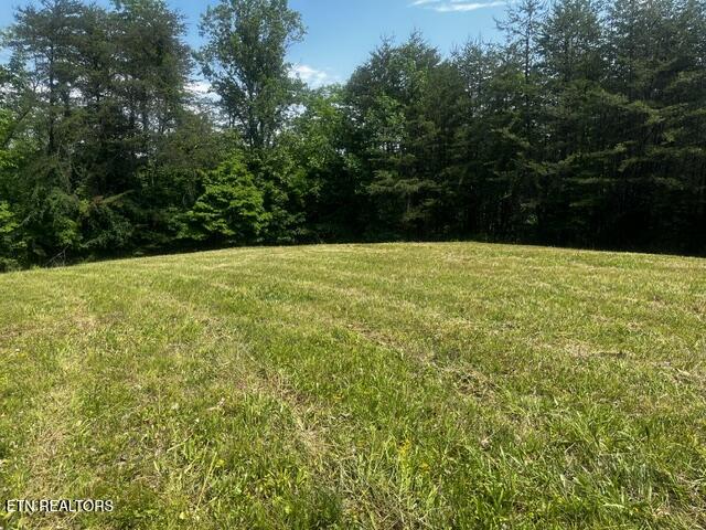 759 Emerald Avenue Kodak TN 37764
