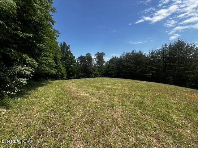 759 Emerald Avenue Kodak TN 37764