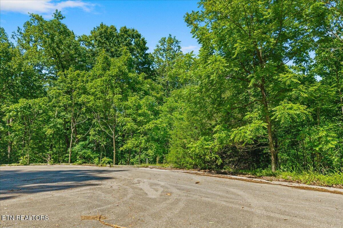 00 Elm Lot 19 Lane Sweetwater TN 37874
