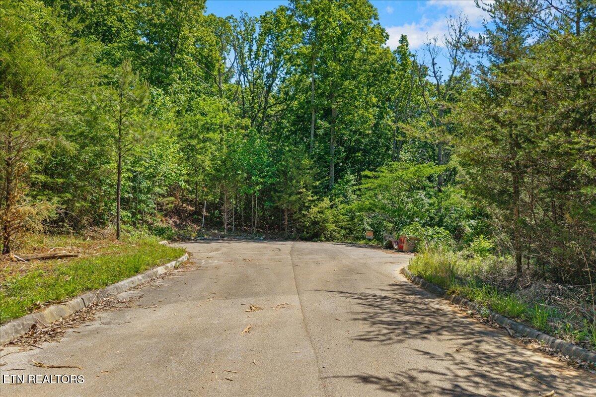 00 Elm Lot 19 Lane Sweetwater TN 37874