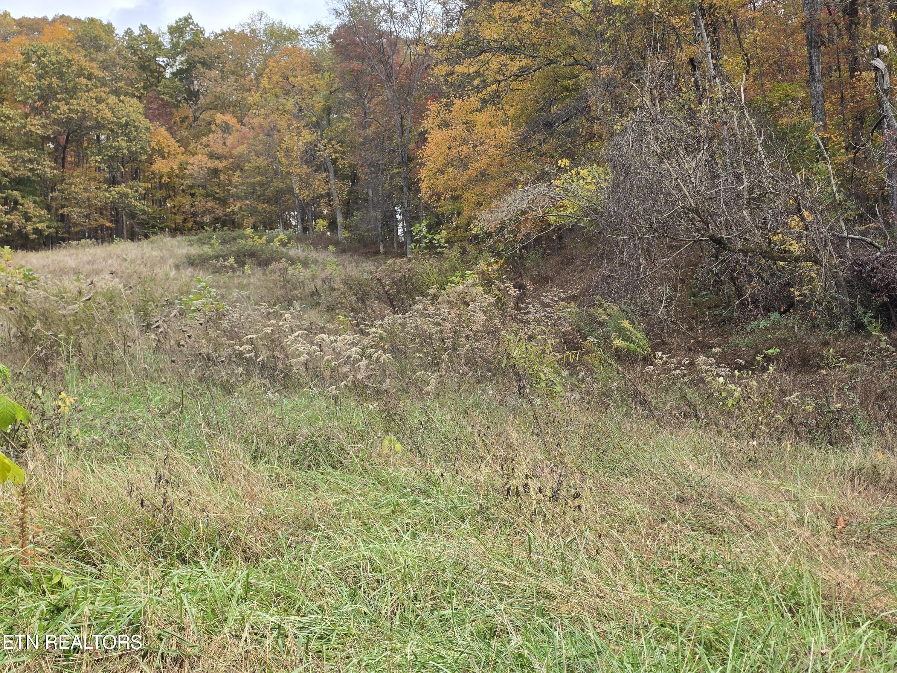 227 Elihu Road Sneedville TN 37869