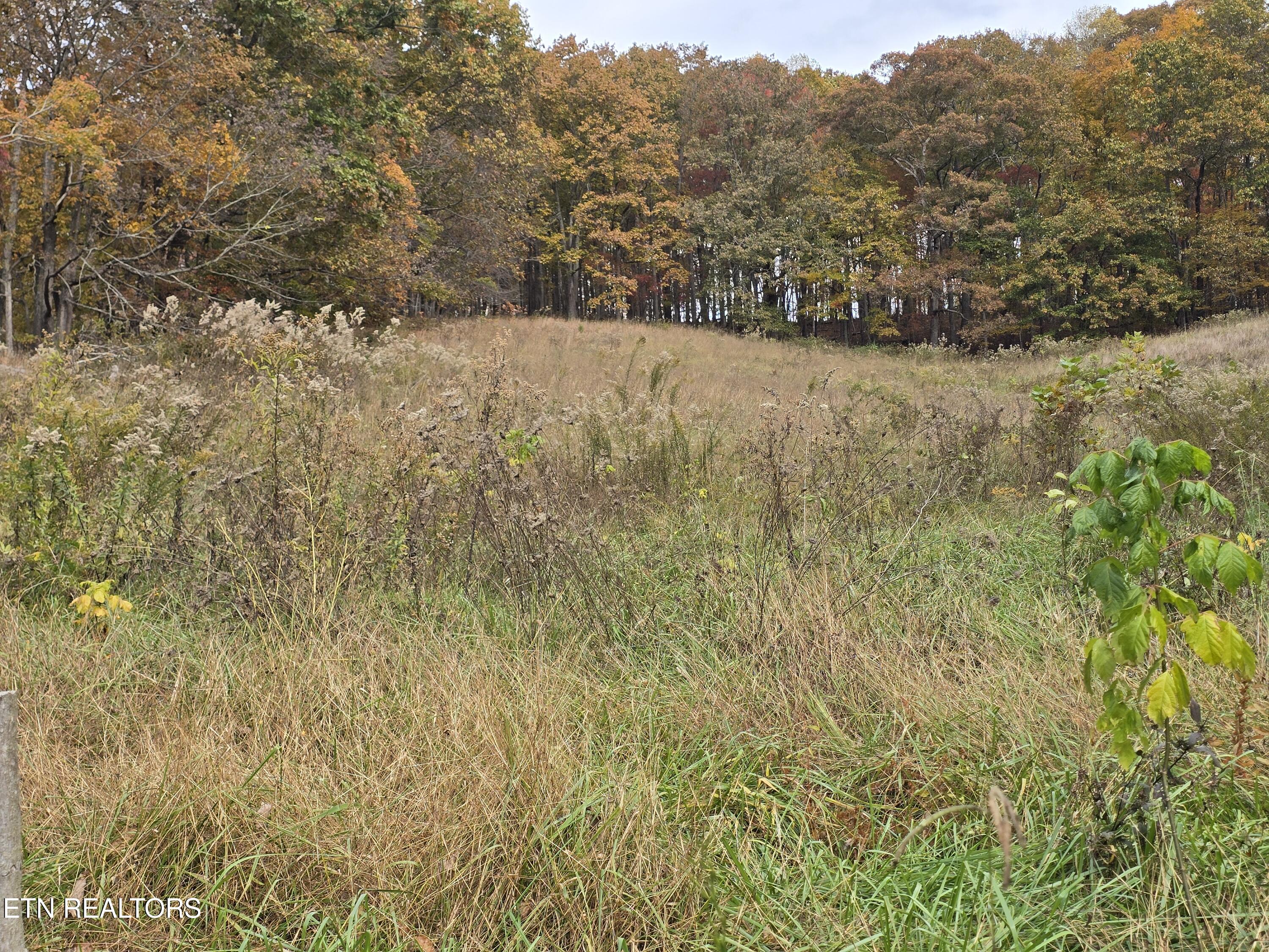 227 Elihu Road Sneedville TN 37869