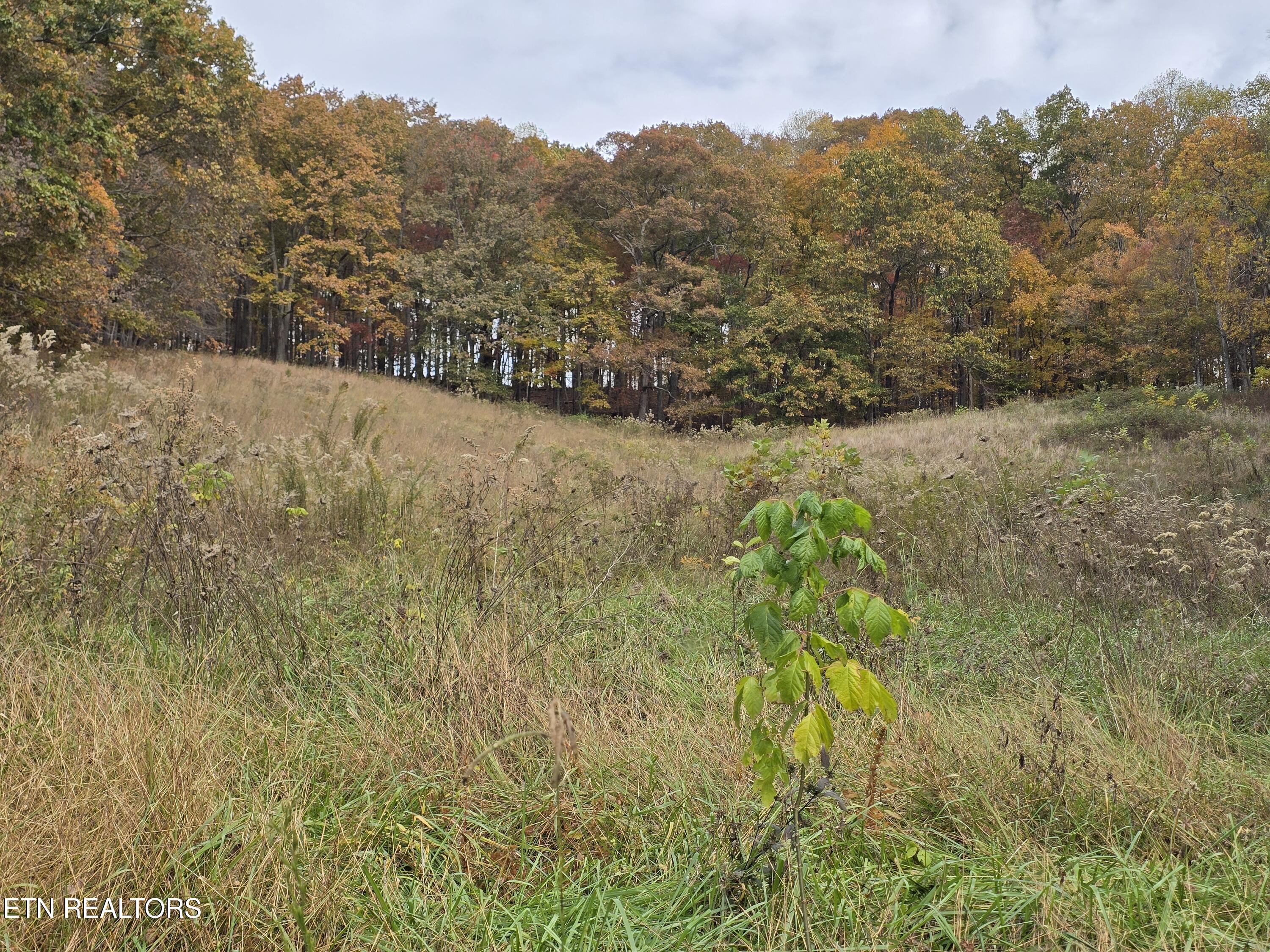 227 Elihu Road Sneedville TN 37869