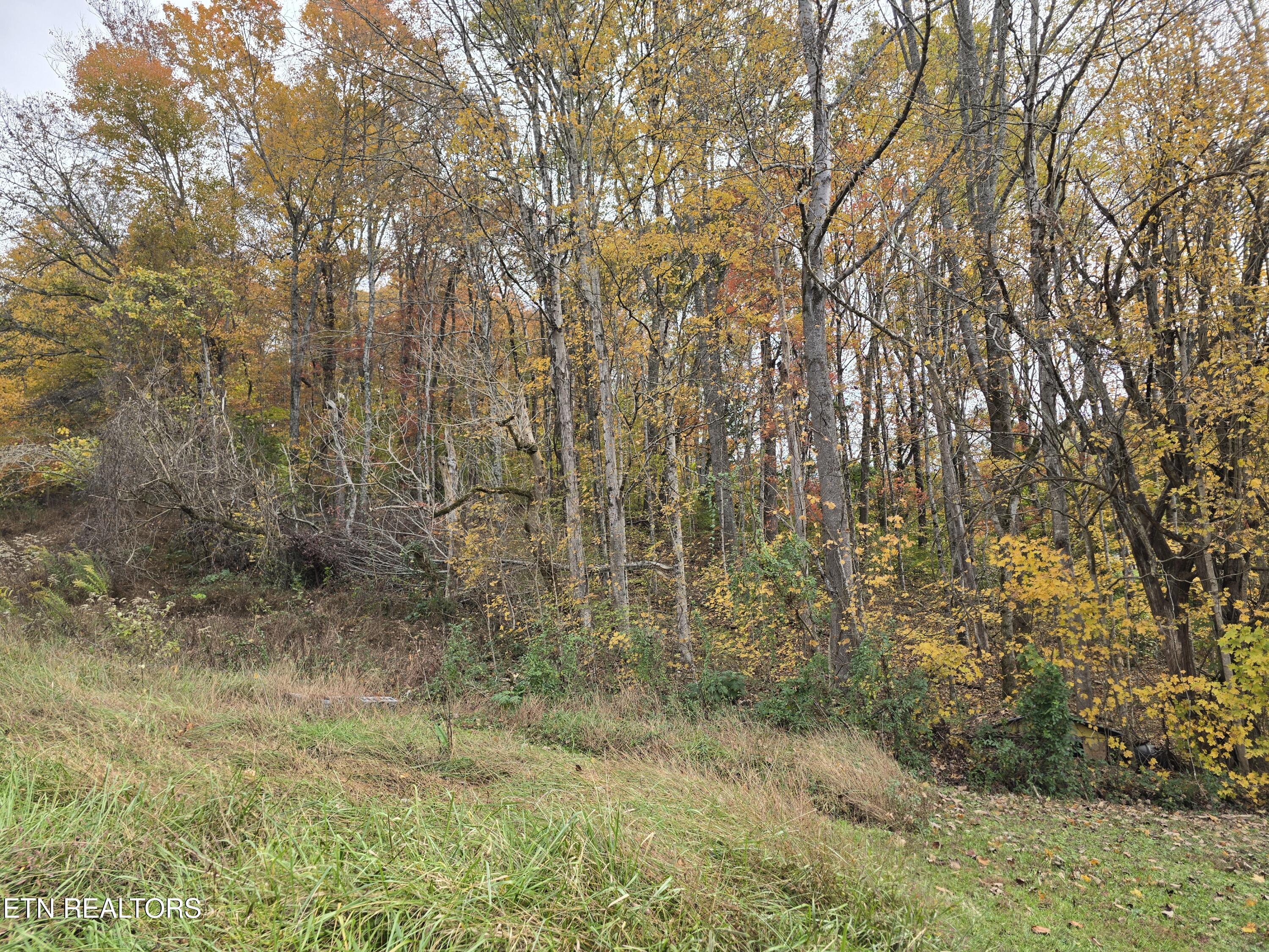 227 Elihu Road Sneedville TN 37869