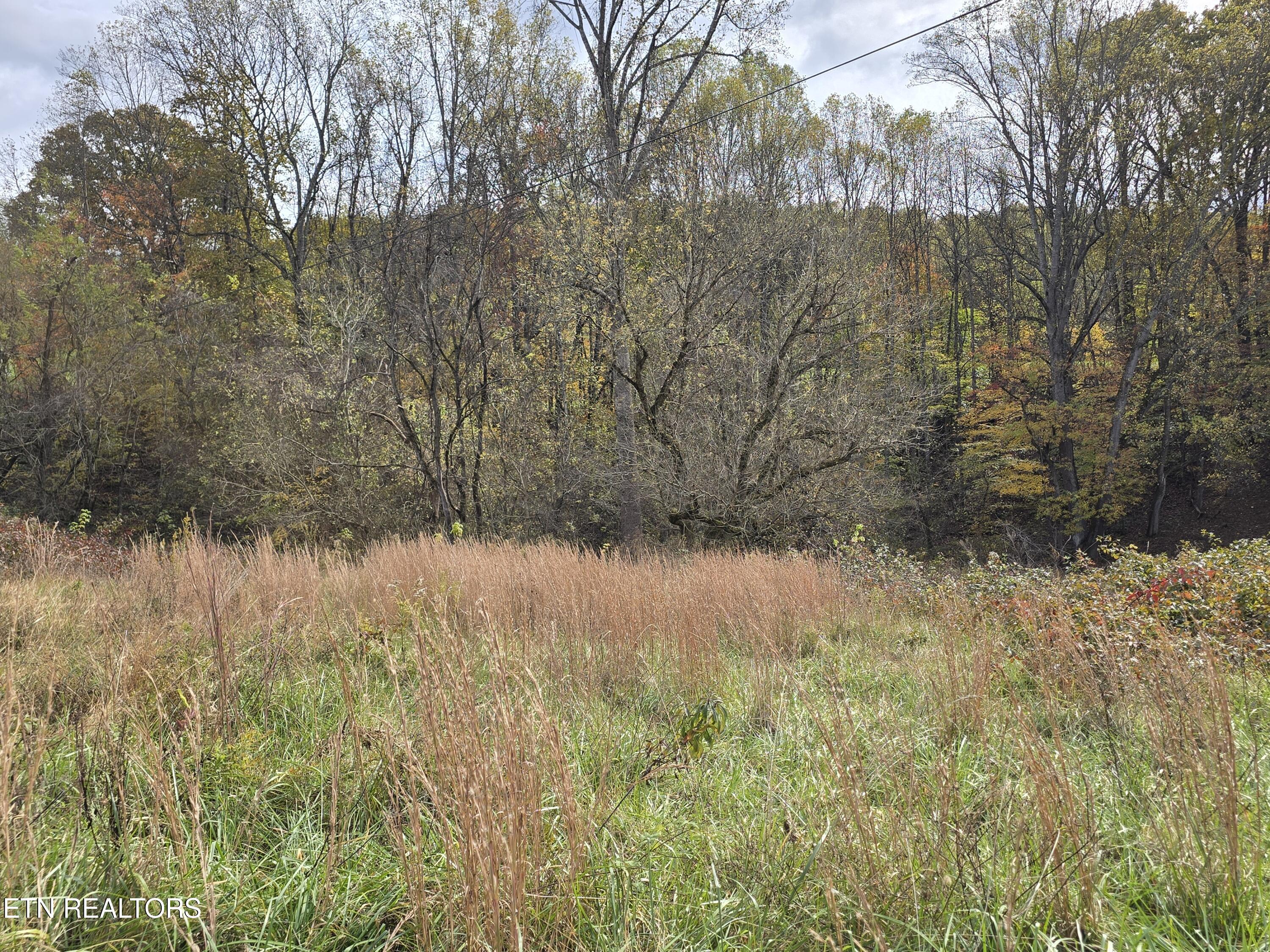 227 Elihu Road Sneedville TN 37869