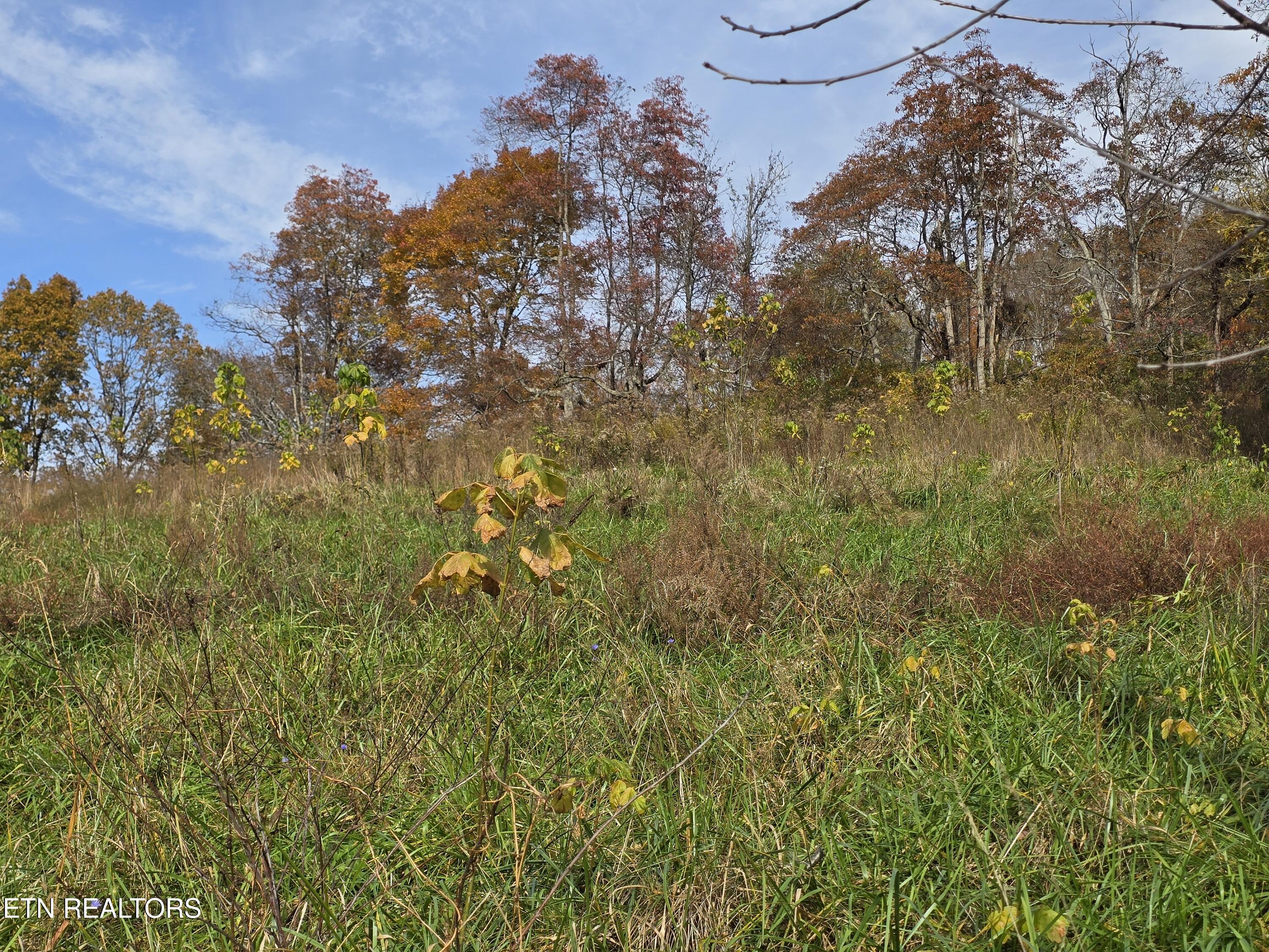 227 Elihu Road Sneedville TN 37869