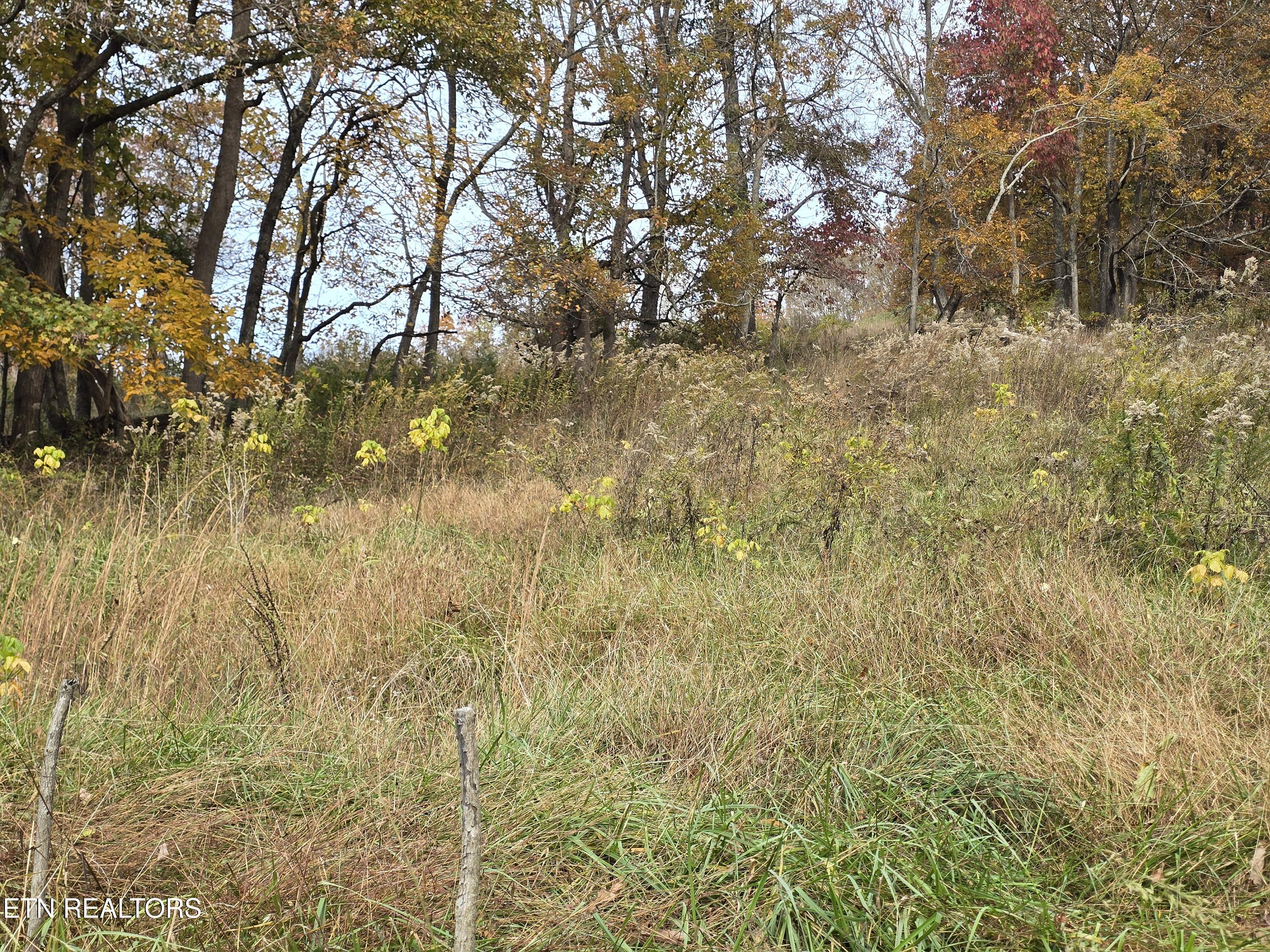 227 Elihu Road Sneedville TN 37869