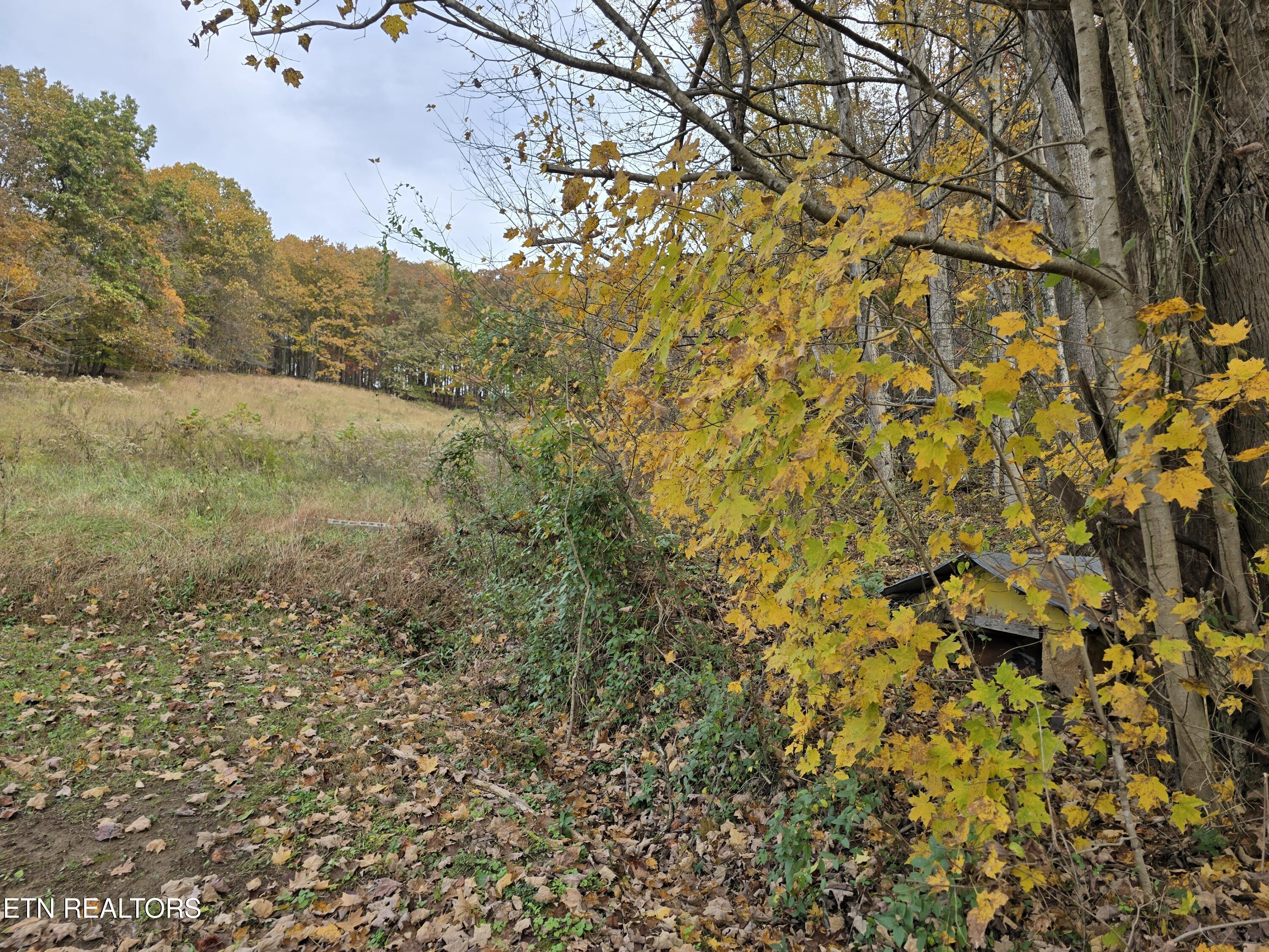 227 Elihu Road Sneedville TN 37869
