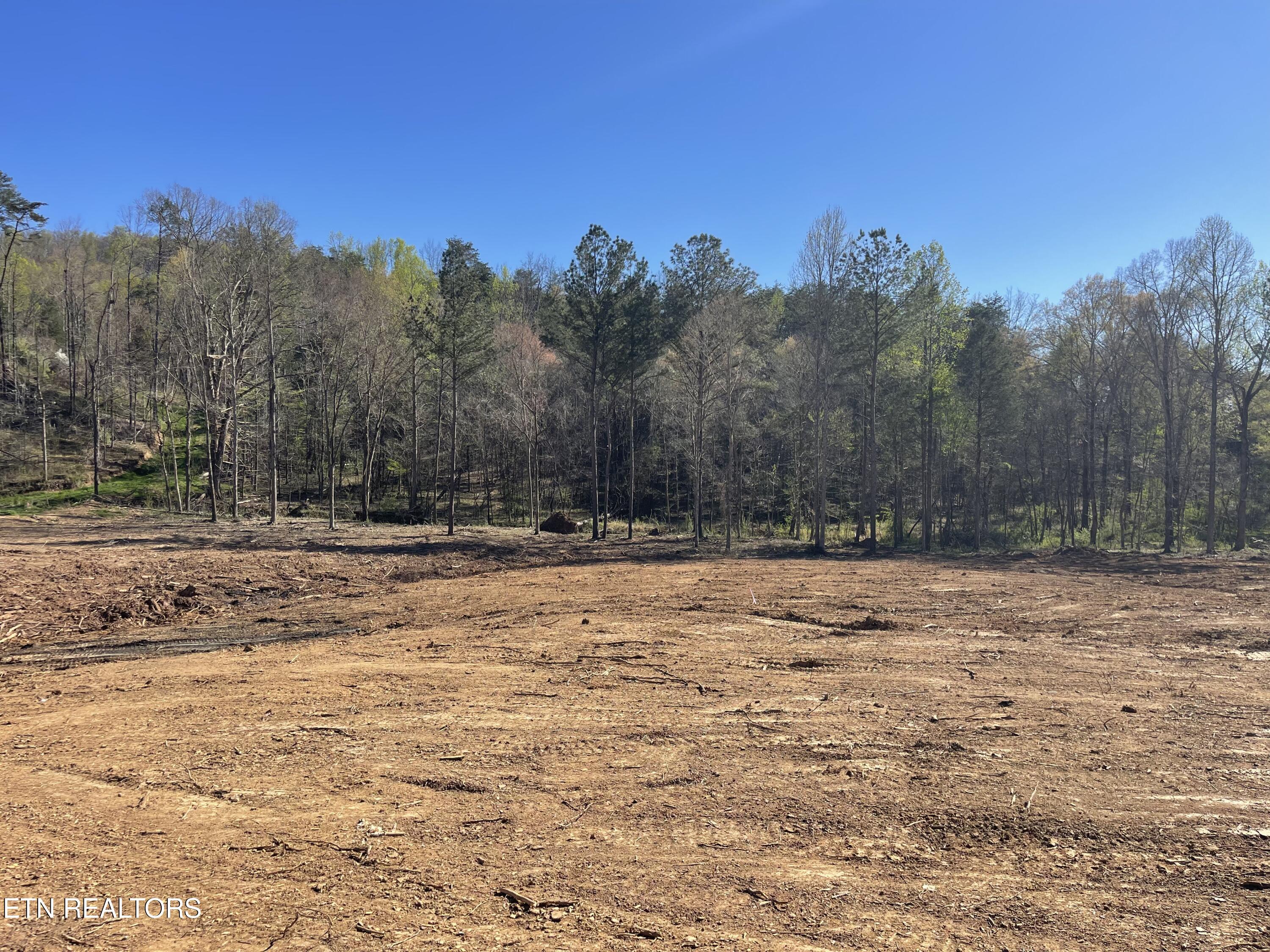 0.84 Robbies Lane Decatur TN 37322