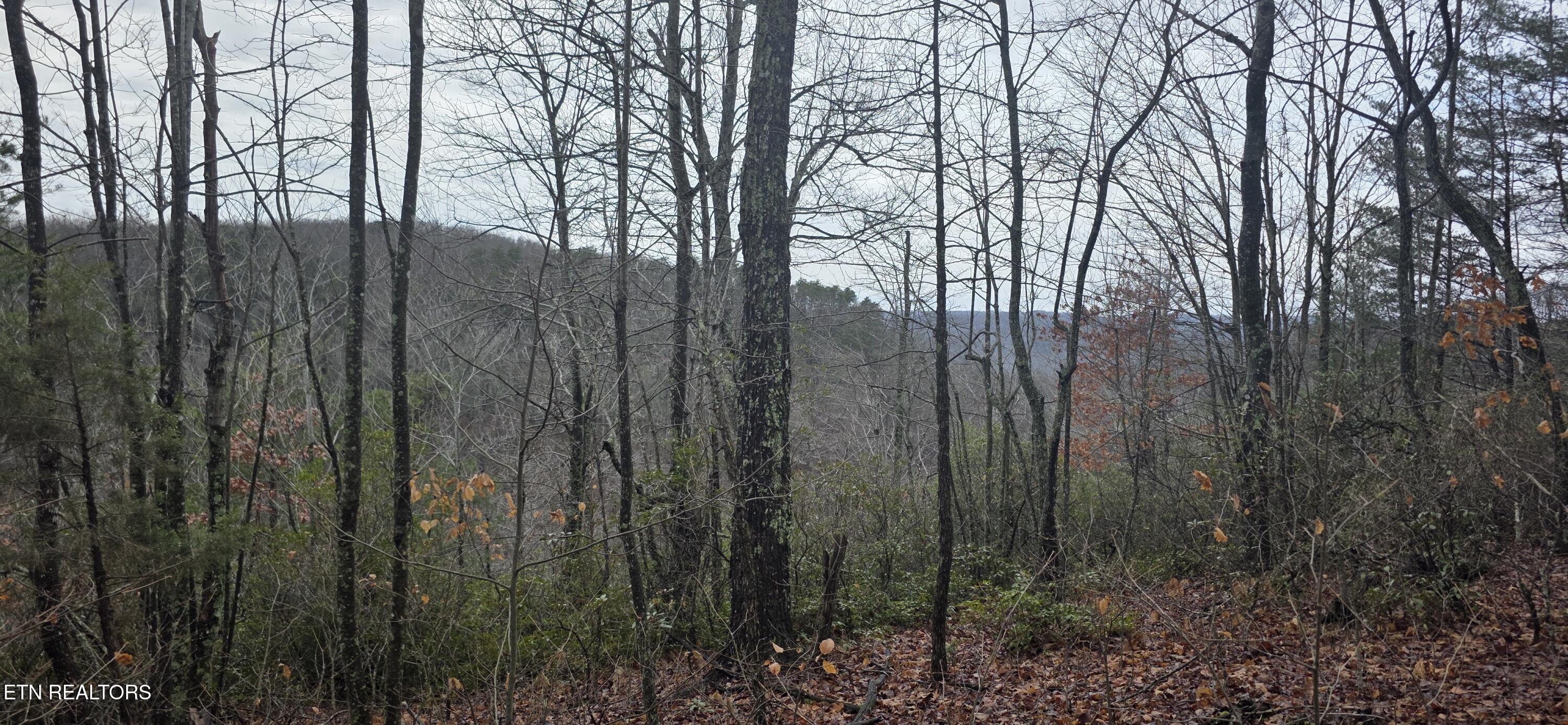 786 Eastridge Pass Monterey TN 38574