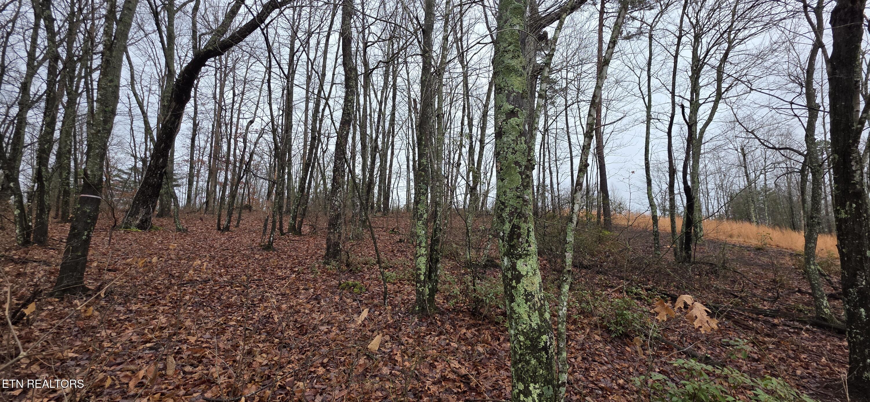 786 Eastridge Pass Monterey TN 38574