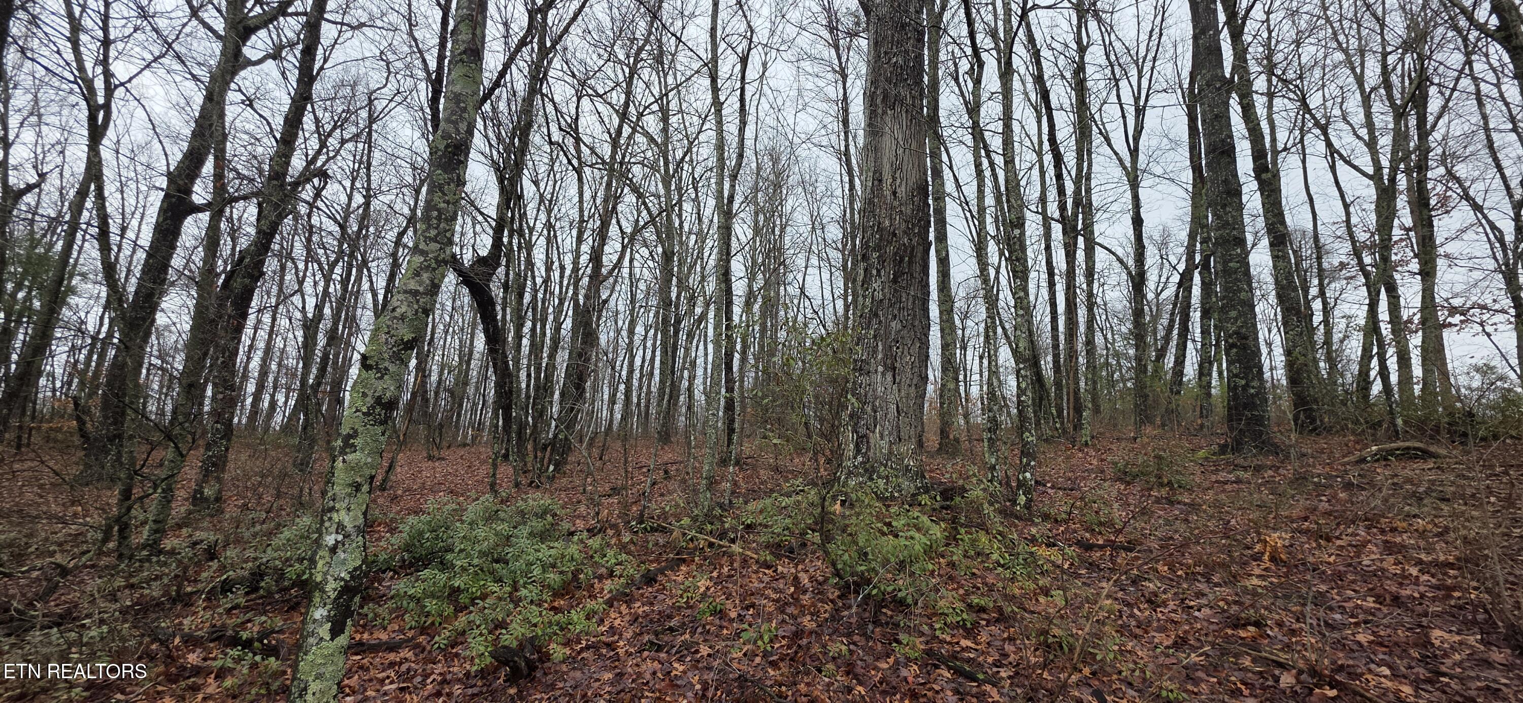 786 Eastridge Pass Monterey TN 38574