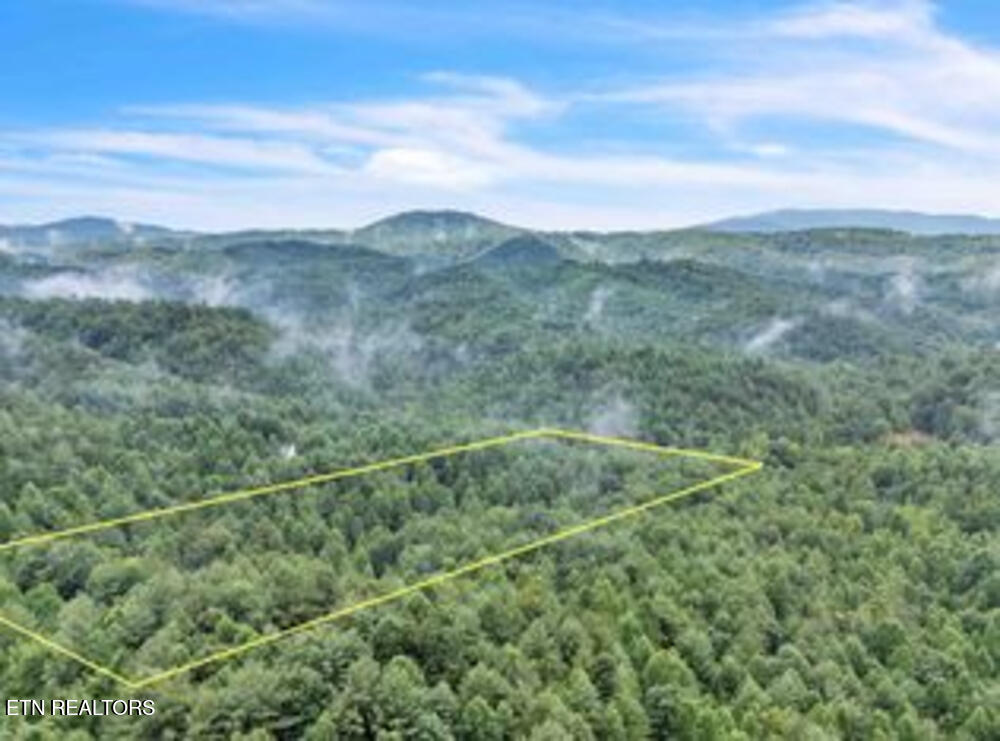 521 Archville Road Reliance TN 37369