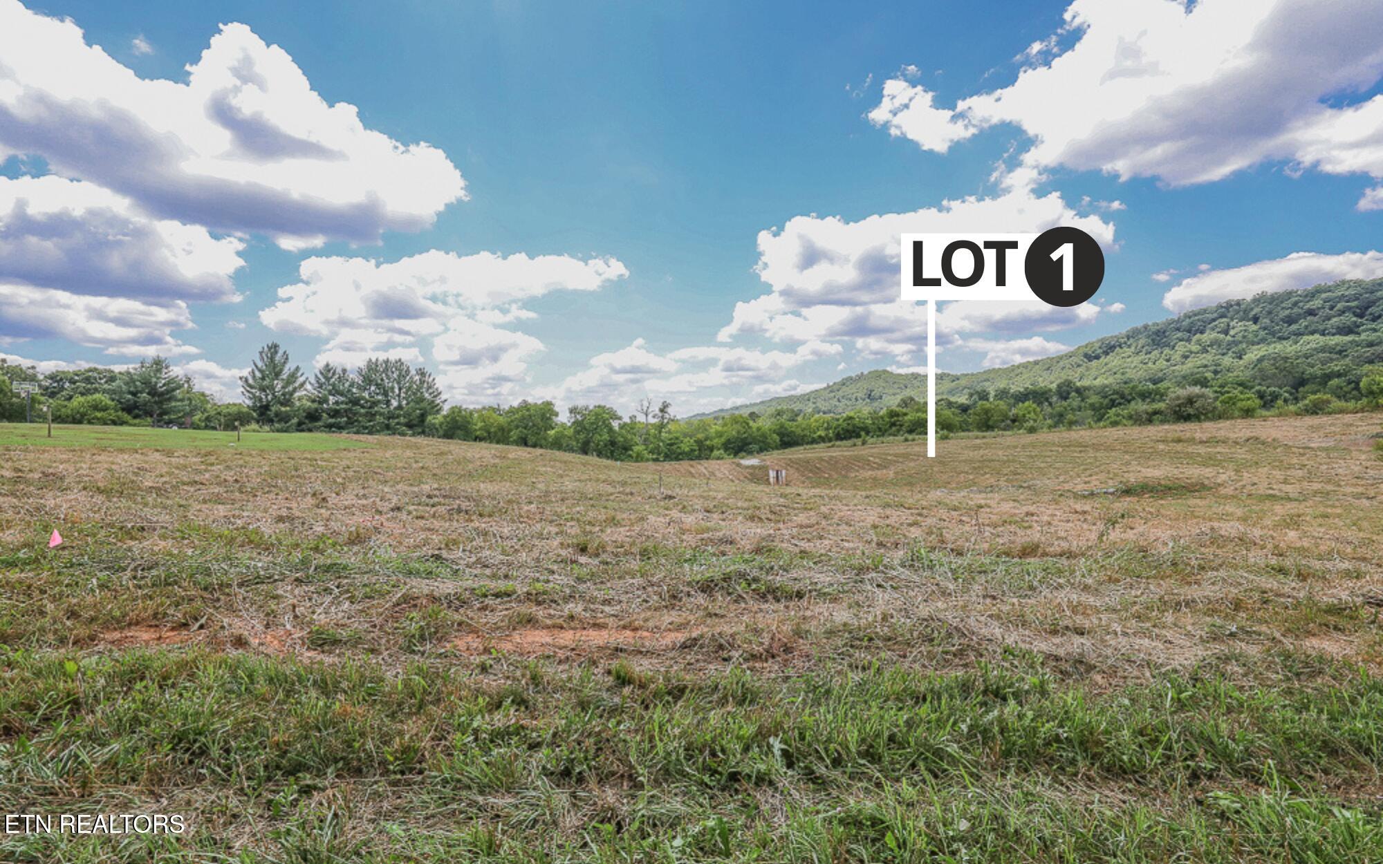 803 Franklin Crossing Maryville TN 37804