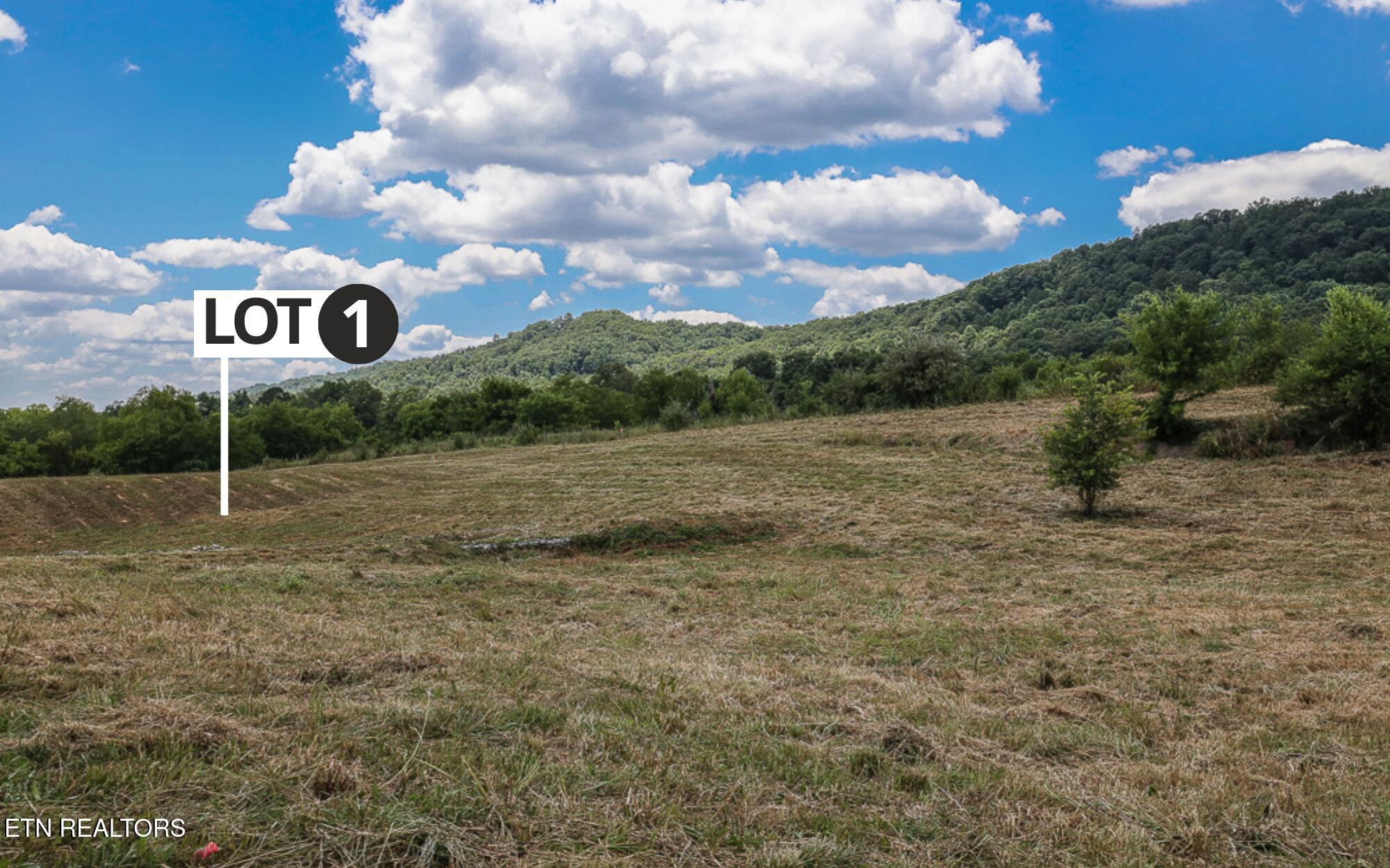 803 Franklin Crossing Maryville TN 37804