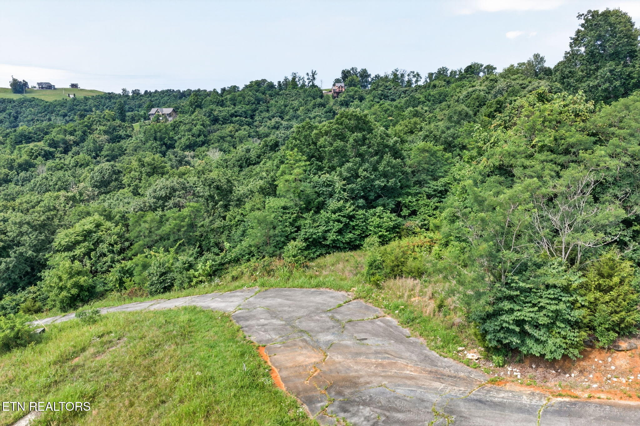 0 Turtle Lane Celina TN 38551