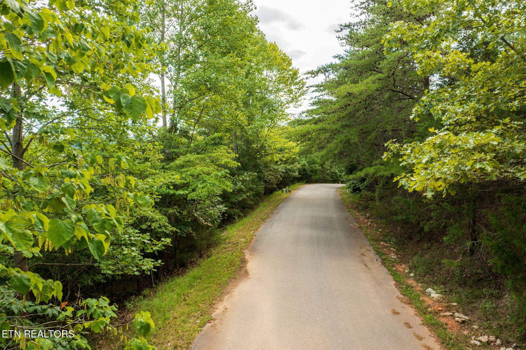 Lot 21 Buckeye Landing Lafollette TN 37766