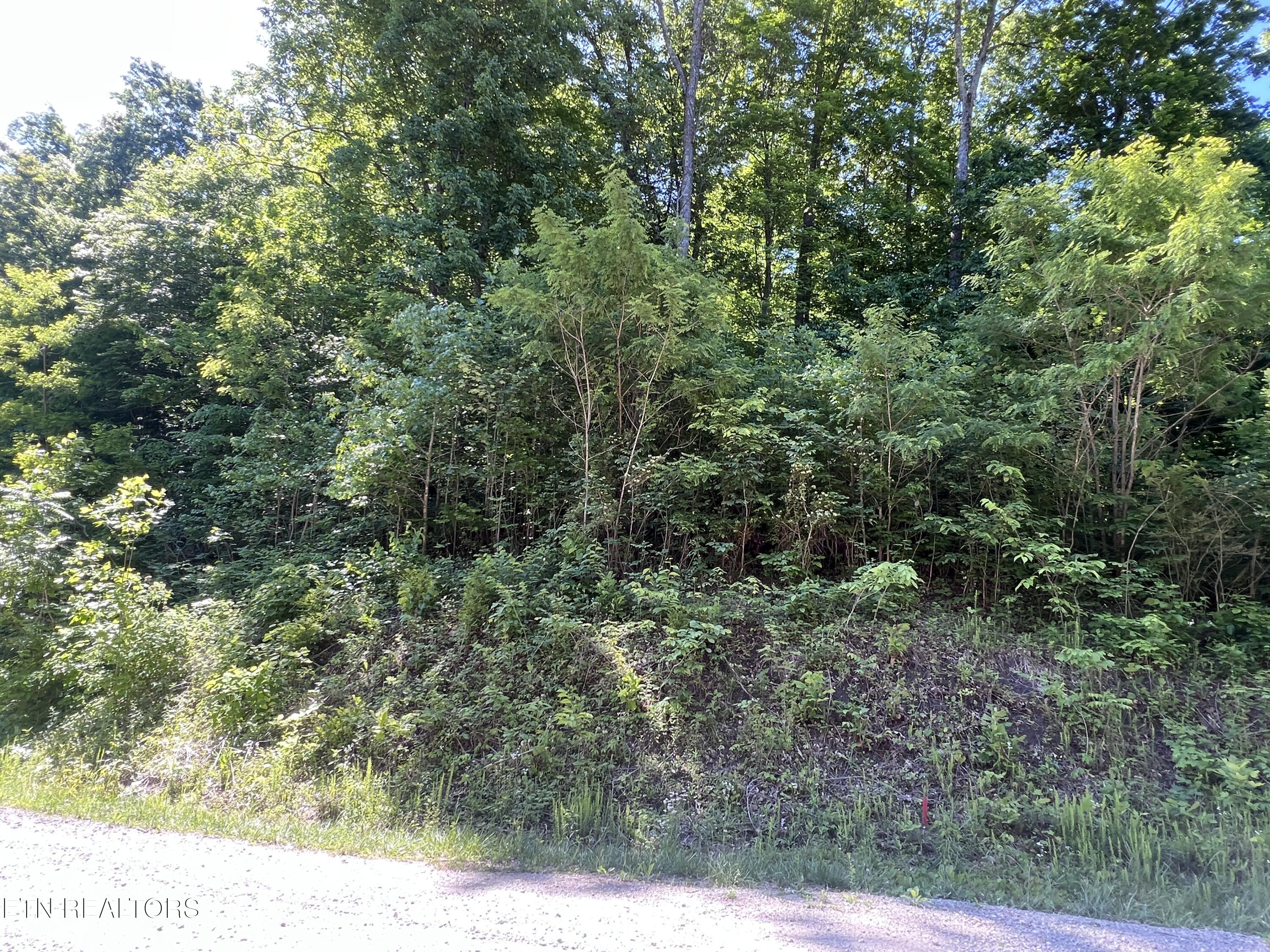 Apache Road Jamestown TN 38556