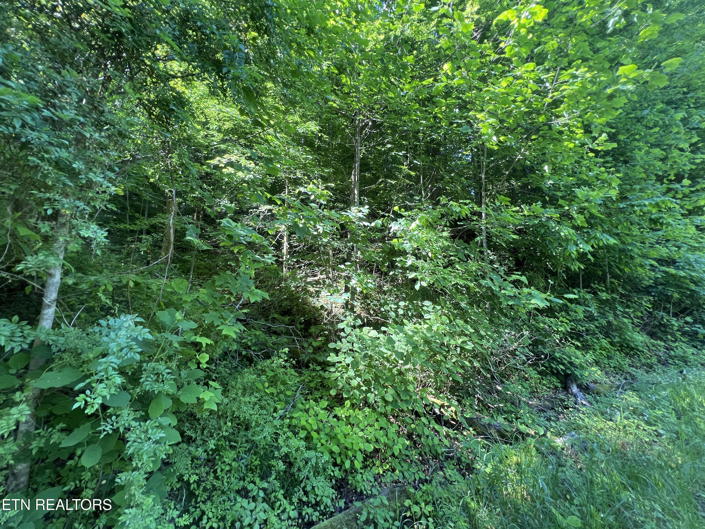 Apache Road Jamestown TN 38556