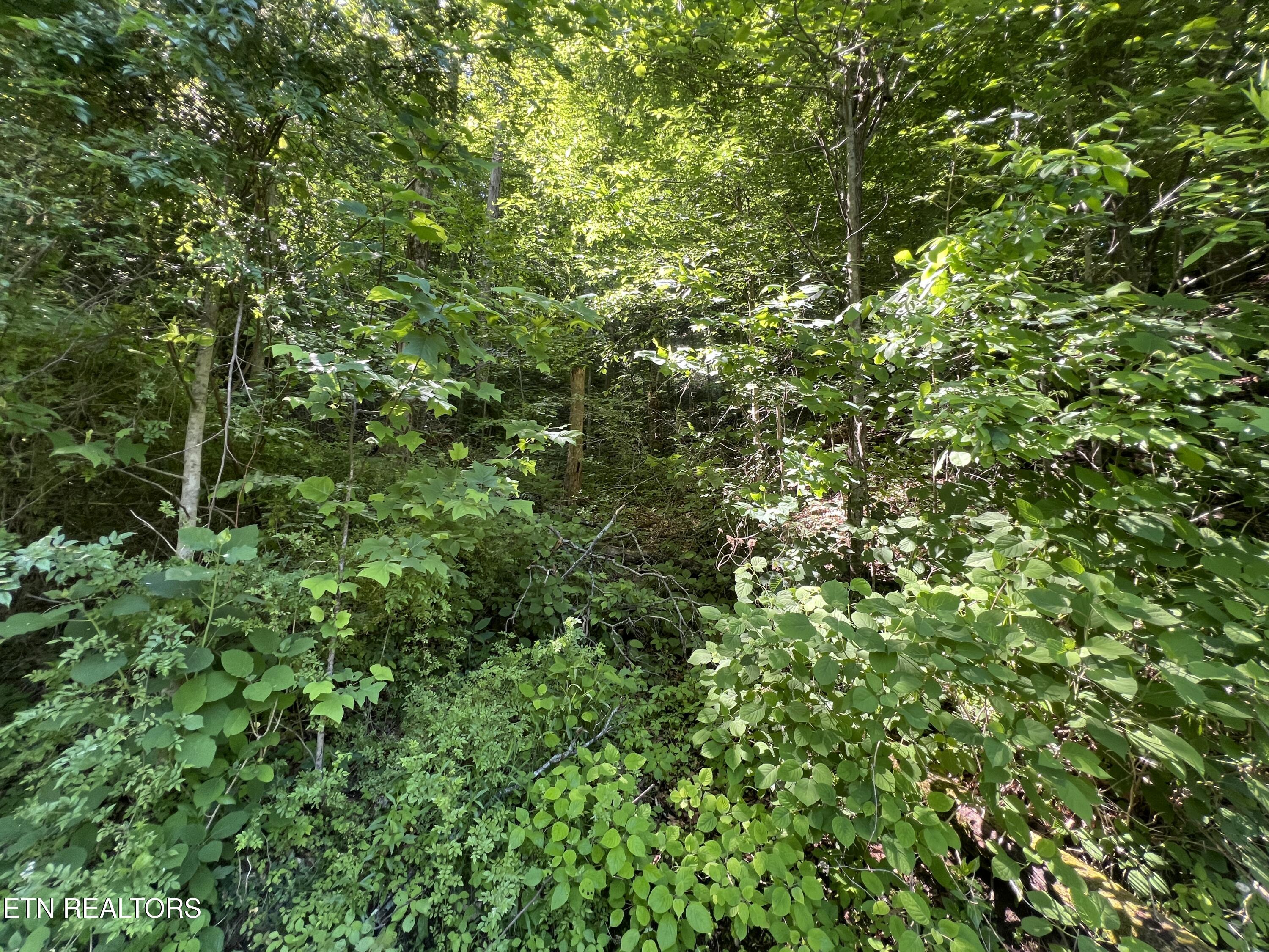 Apache Road Jamestown TN 38556
