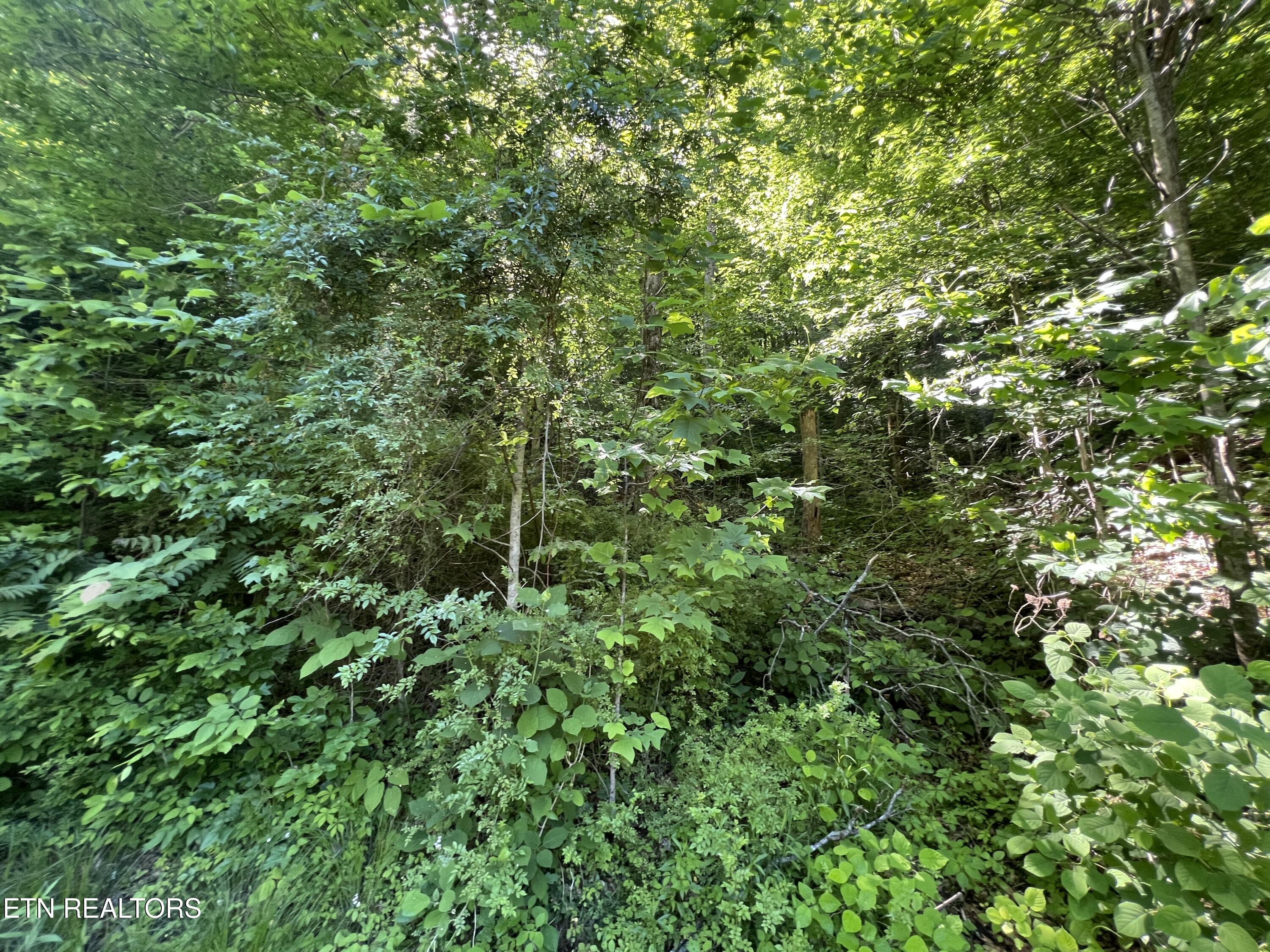 Apache Road Jamestown TN 38556