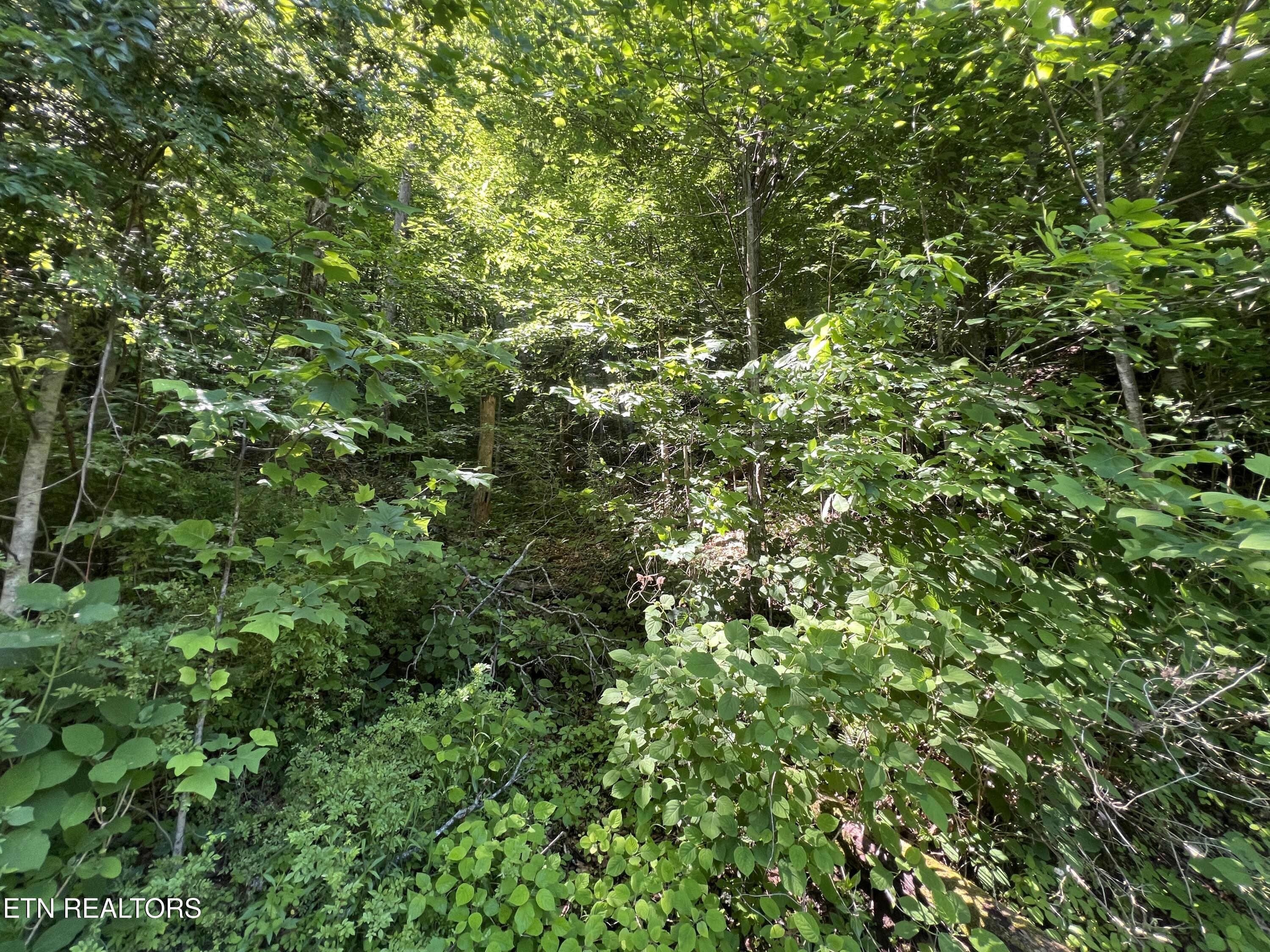 Apache Road Jamestown TN 38556