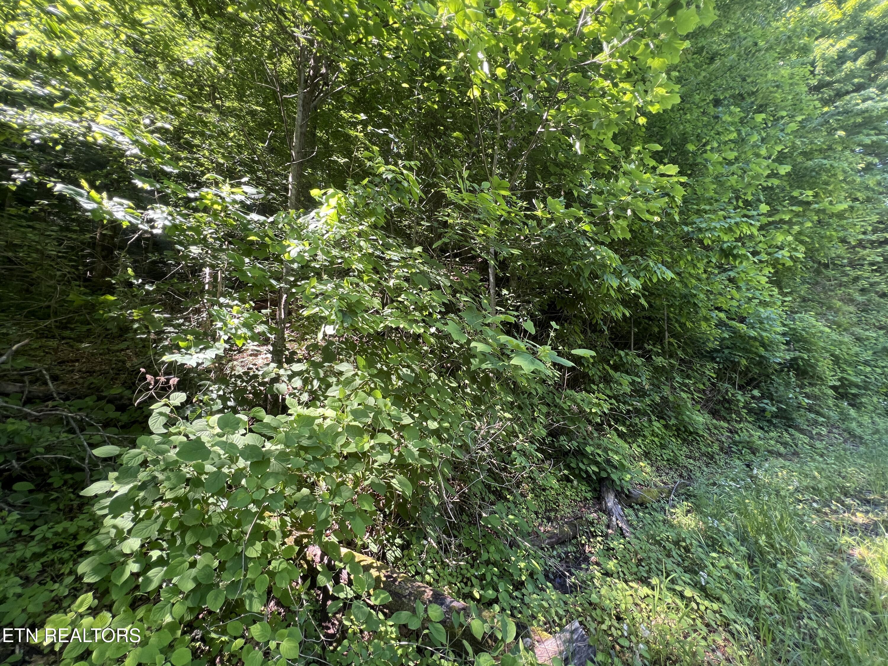 Apache Road Jamestown TN 38556