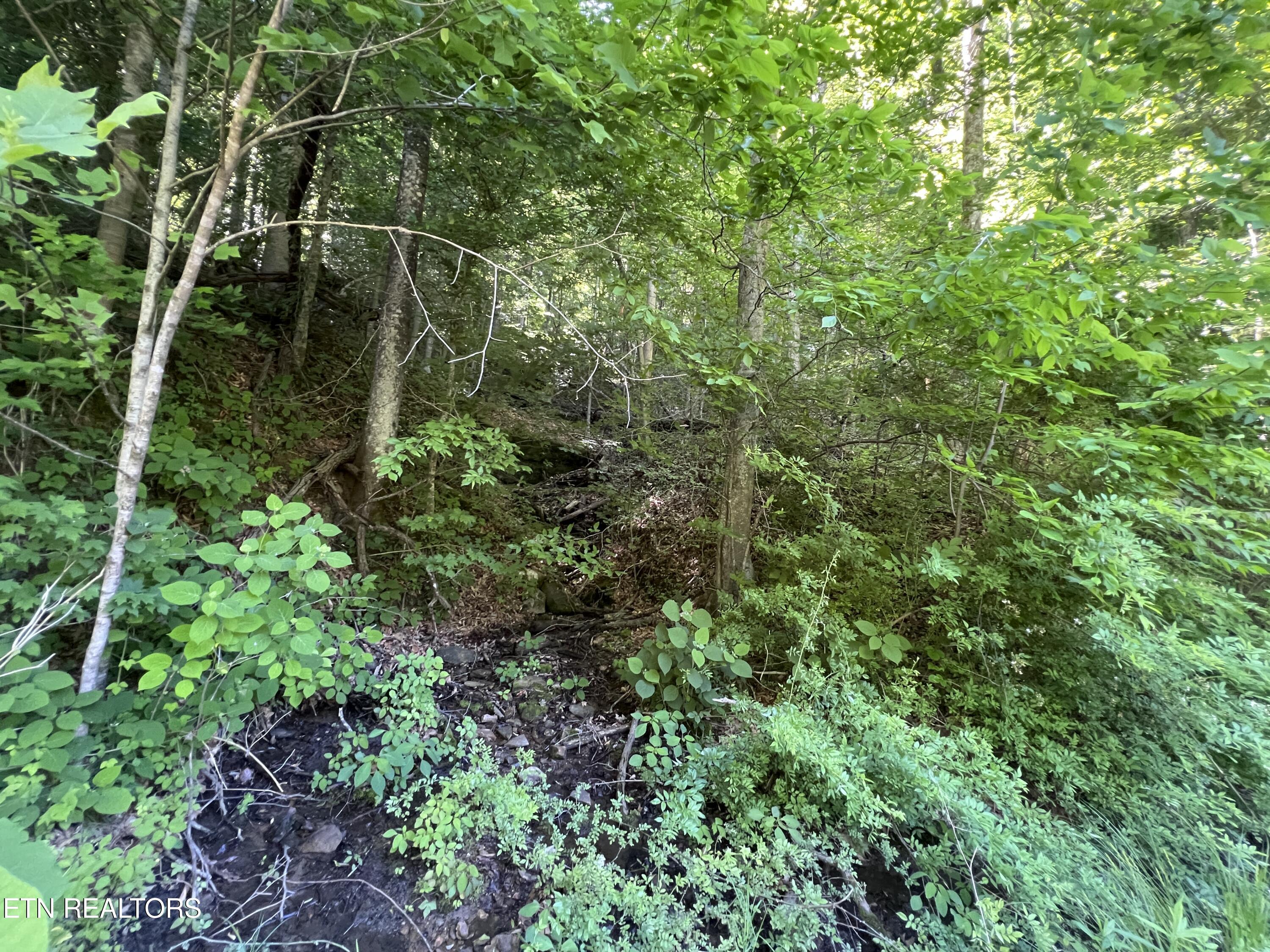 Apache Road Jamestown TN 38556
