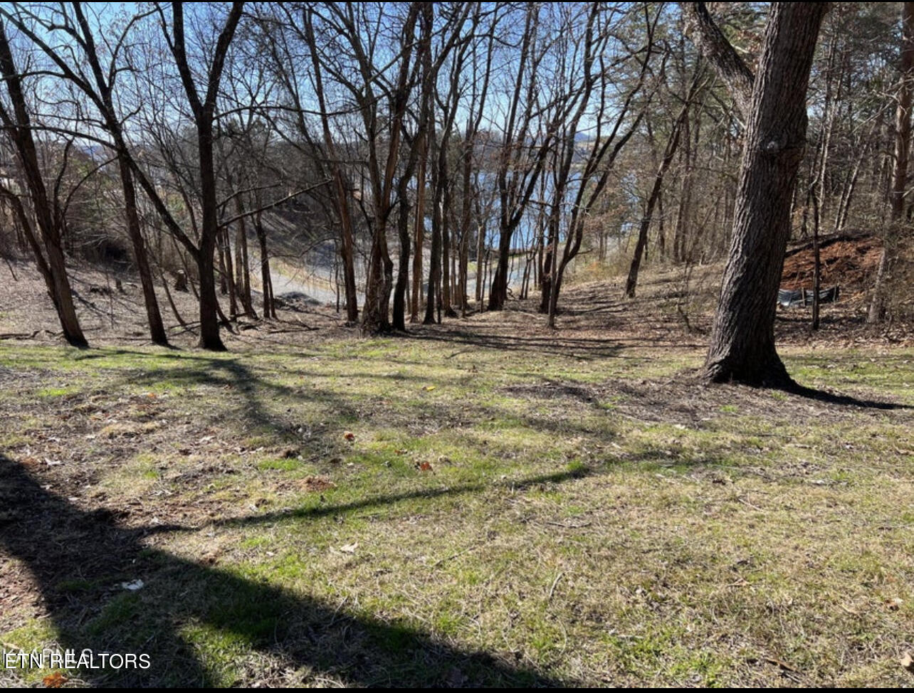300 Southshore Drive Greenback TN 37742
