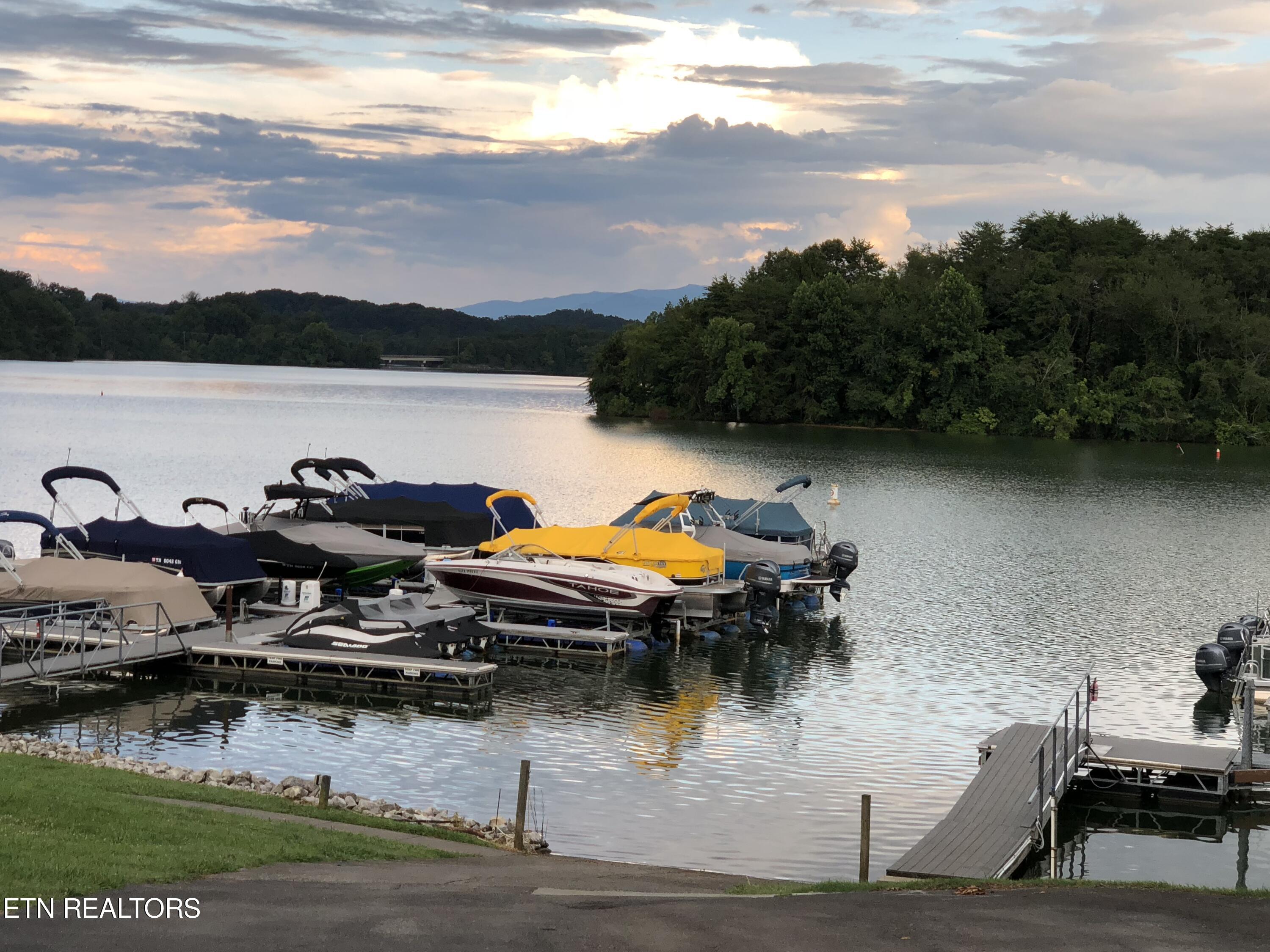 300 Southshore Drive Greenback TN 37742