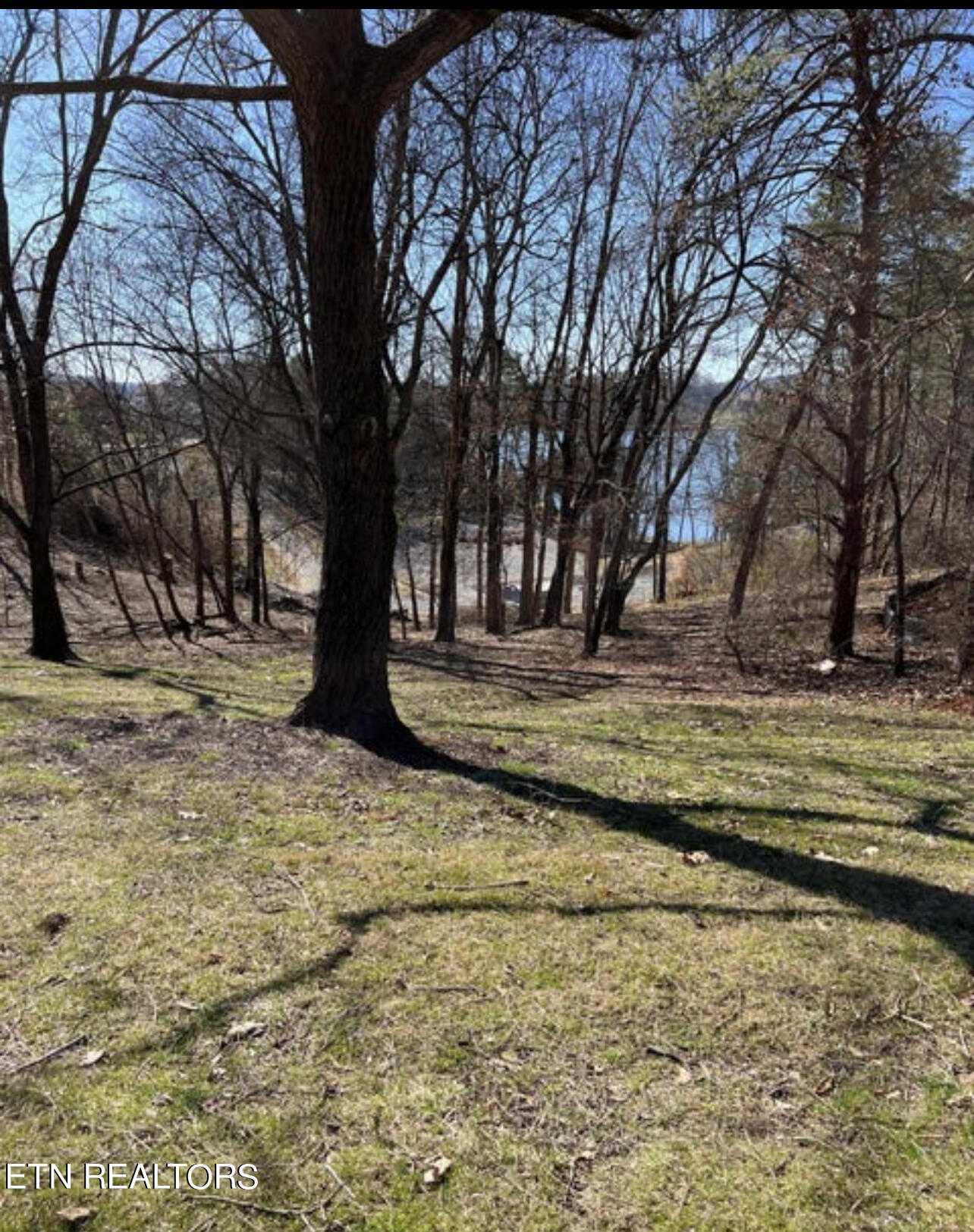 300 Southshore Drive Greenback TN 37742