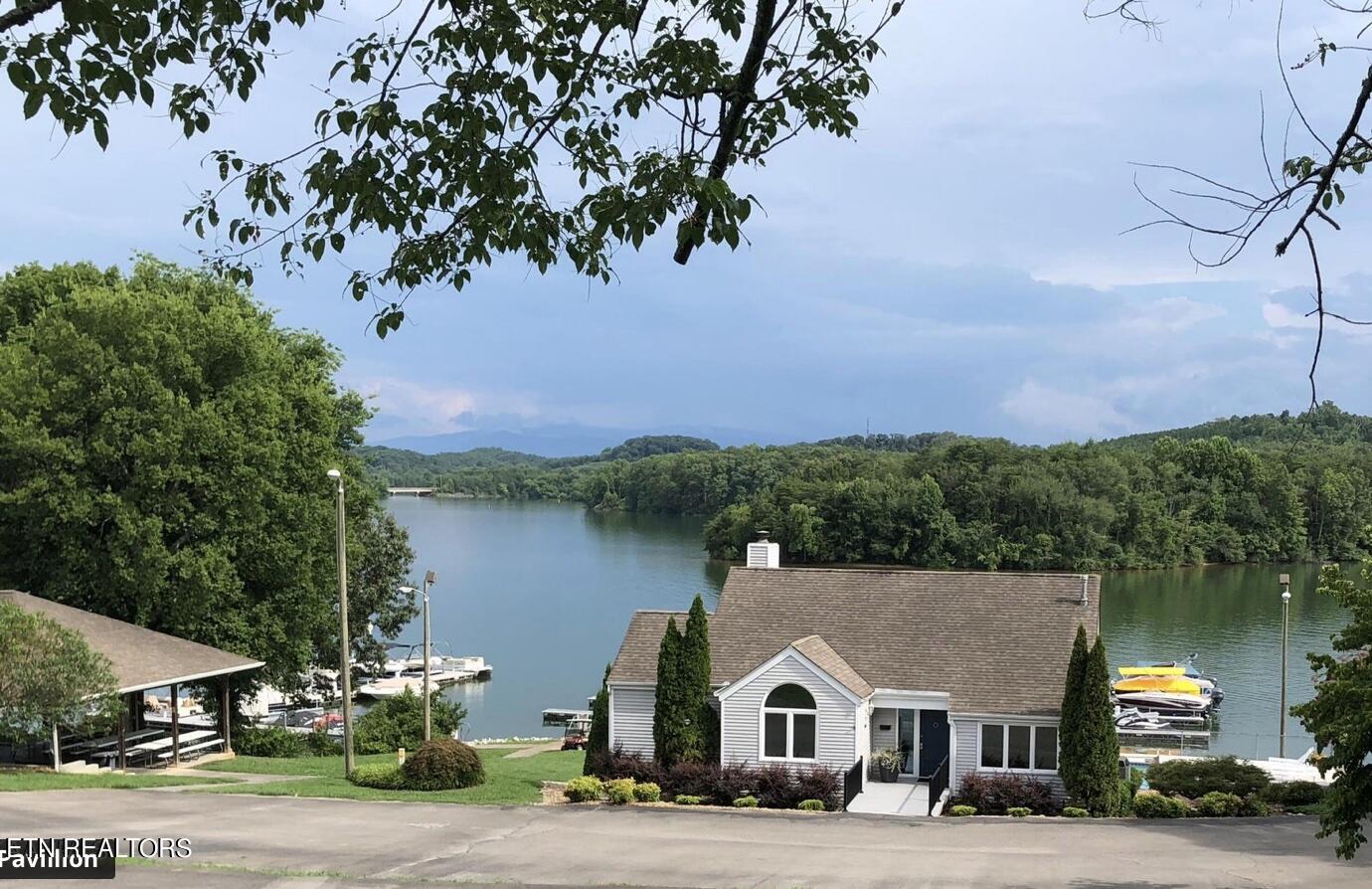300 Southshore Drive Greenback TN 37742