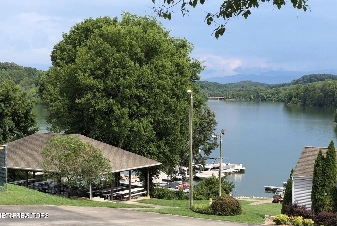 300 Southshore Drive Greenback TN 37742